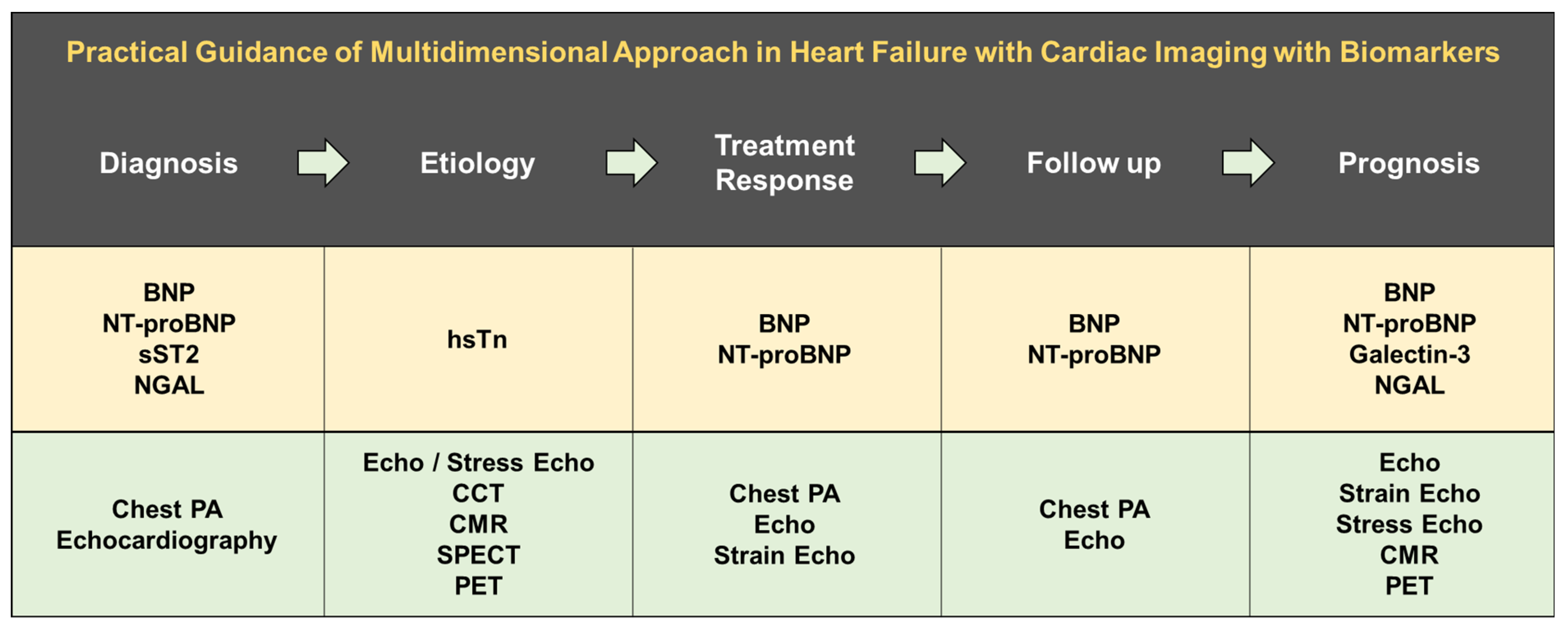 Diagnostics 12 01366 g003