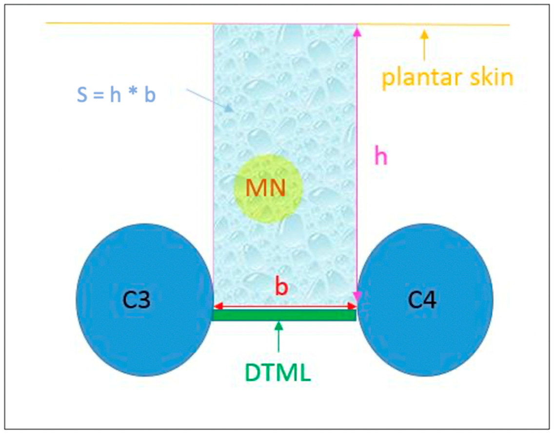 Diagnostics 12 01367 g001