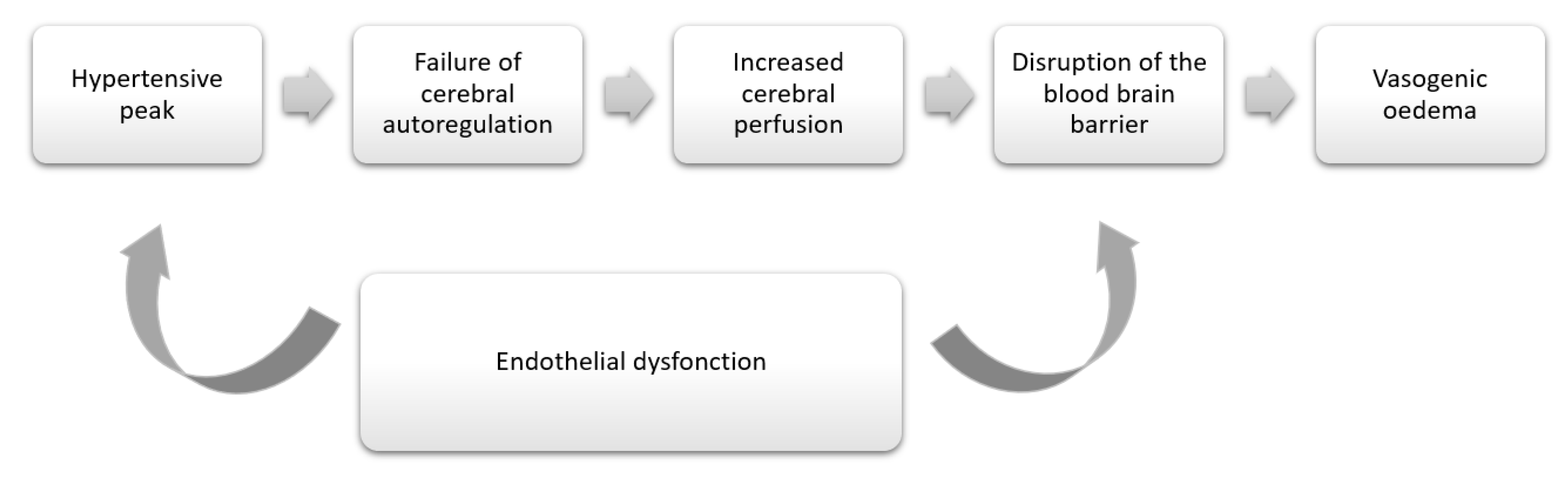Diagnostics 12 01369 g006