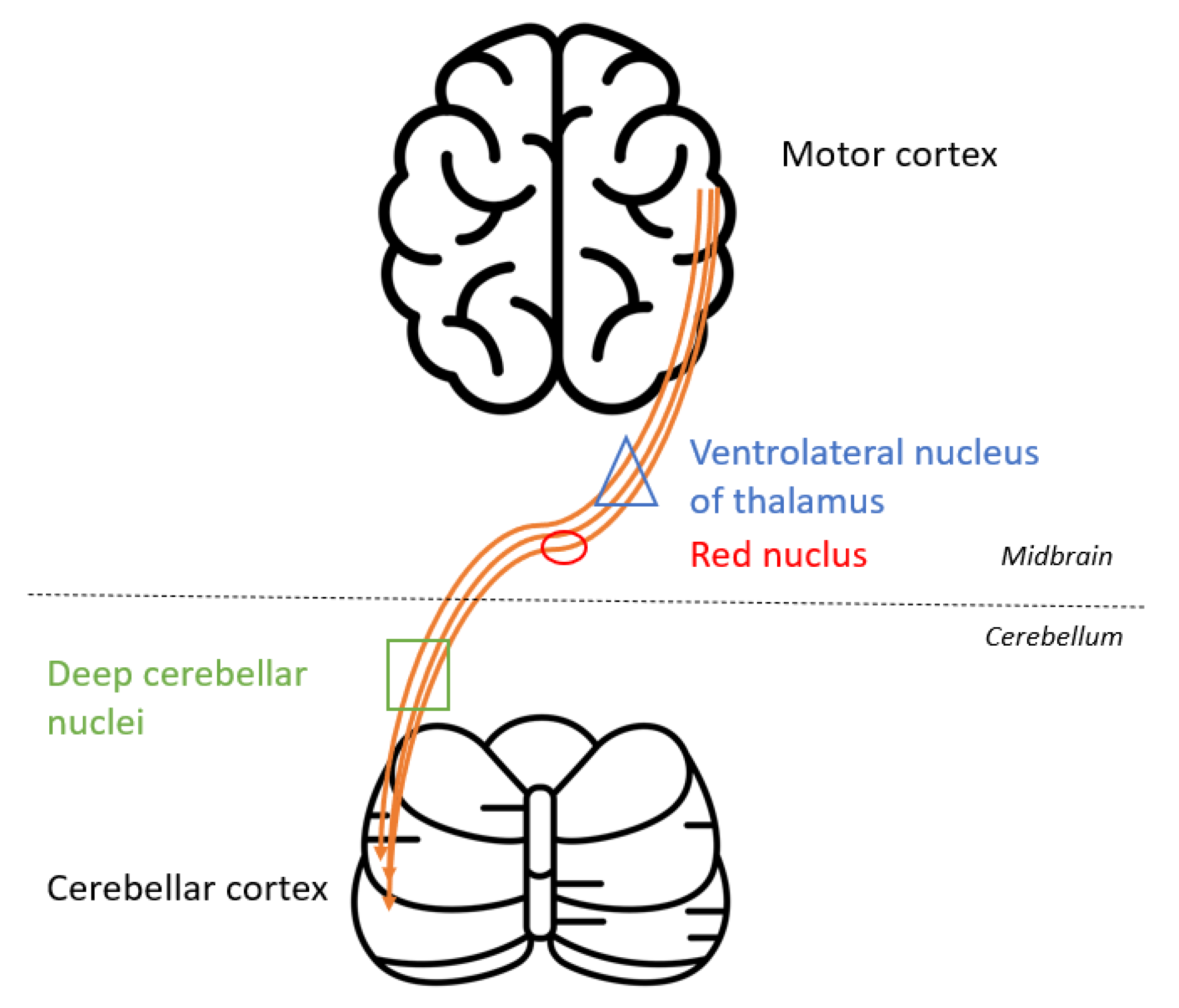 Diagnostics 12 01369 g007