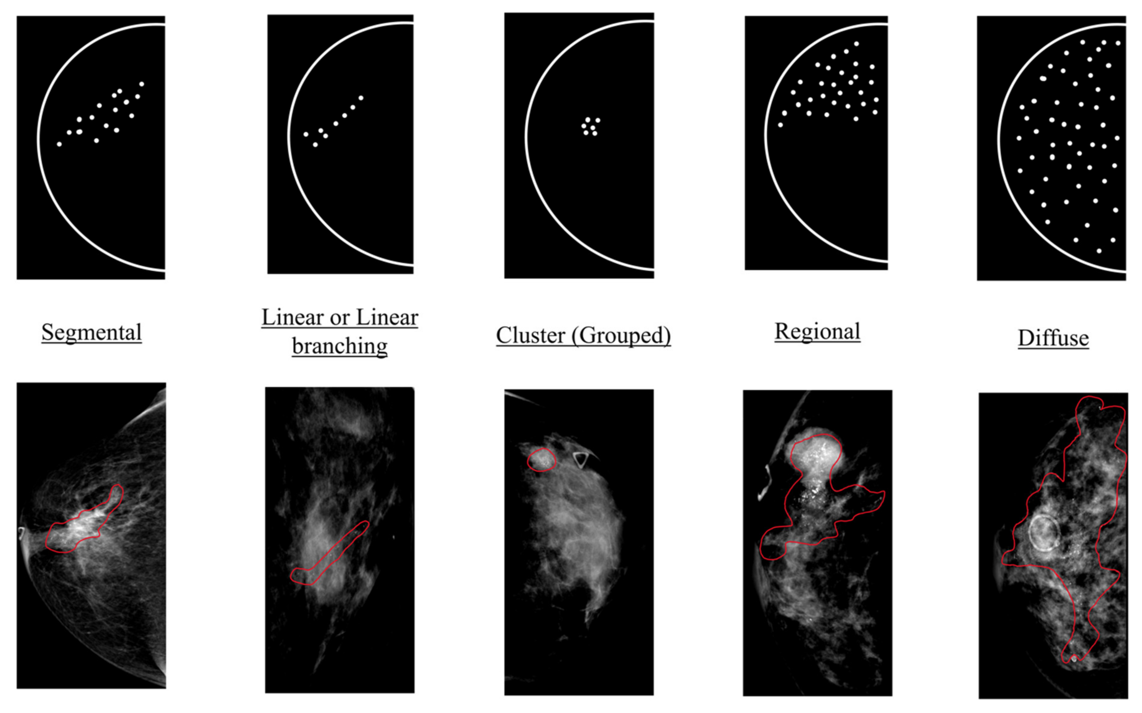 Diagnostics 12 01376 g001