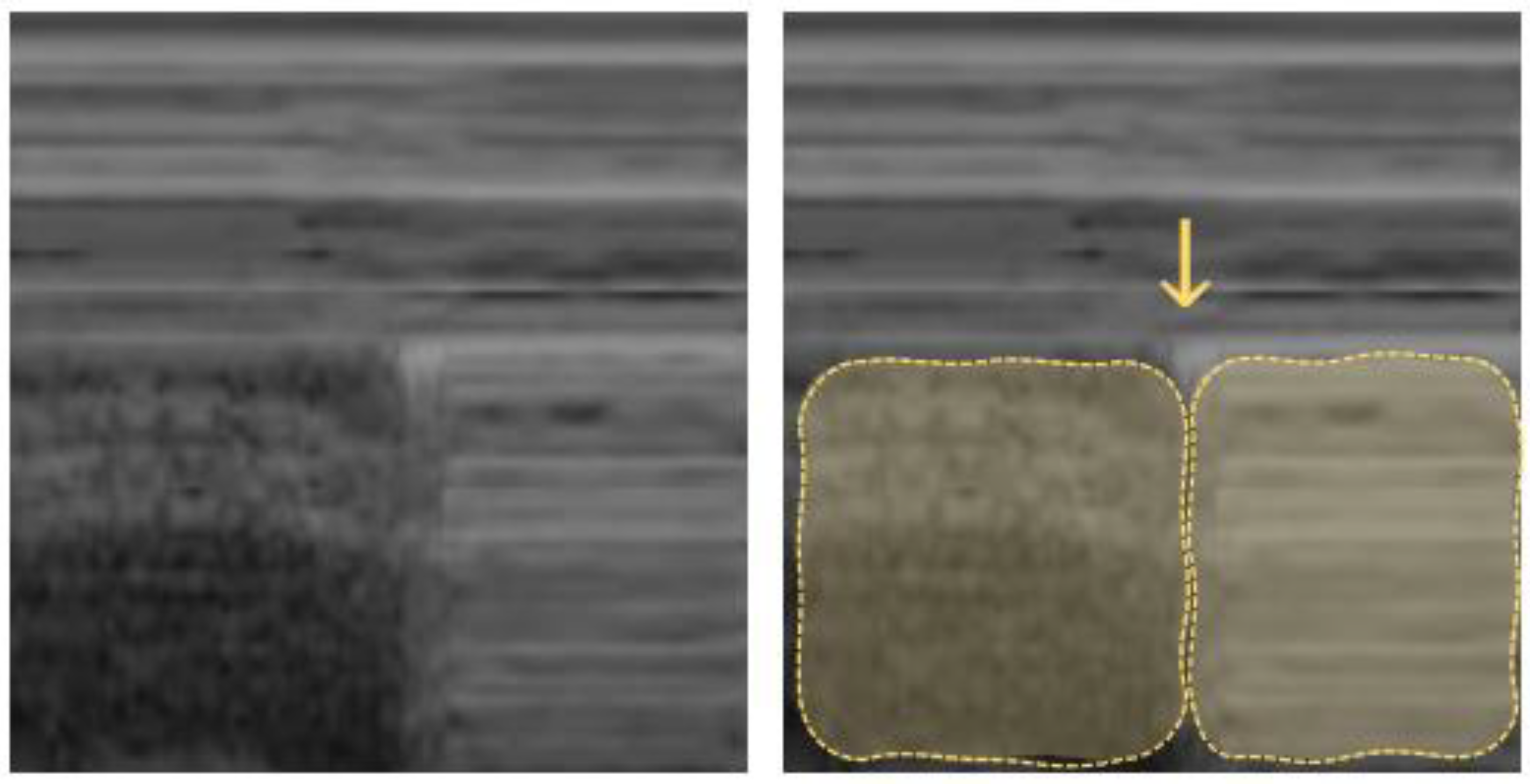 Diagnostics 12 01405 g003