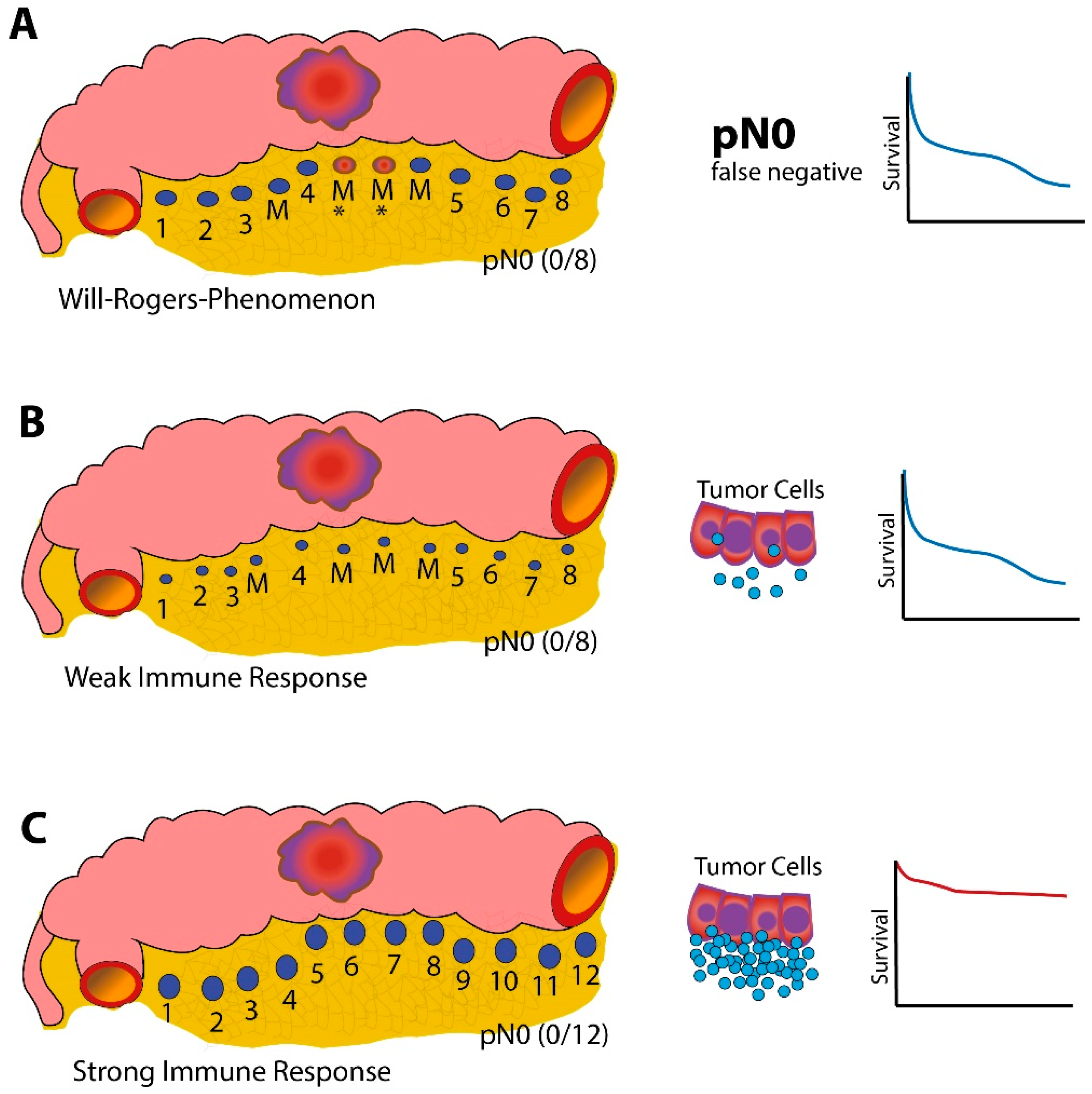 Diagnostics 12 01408 g001