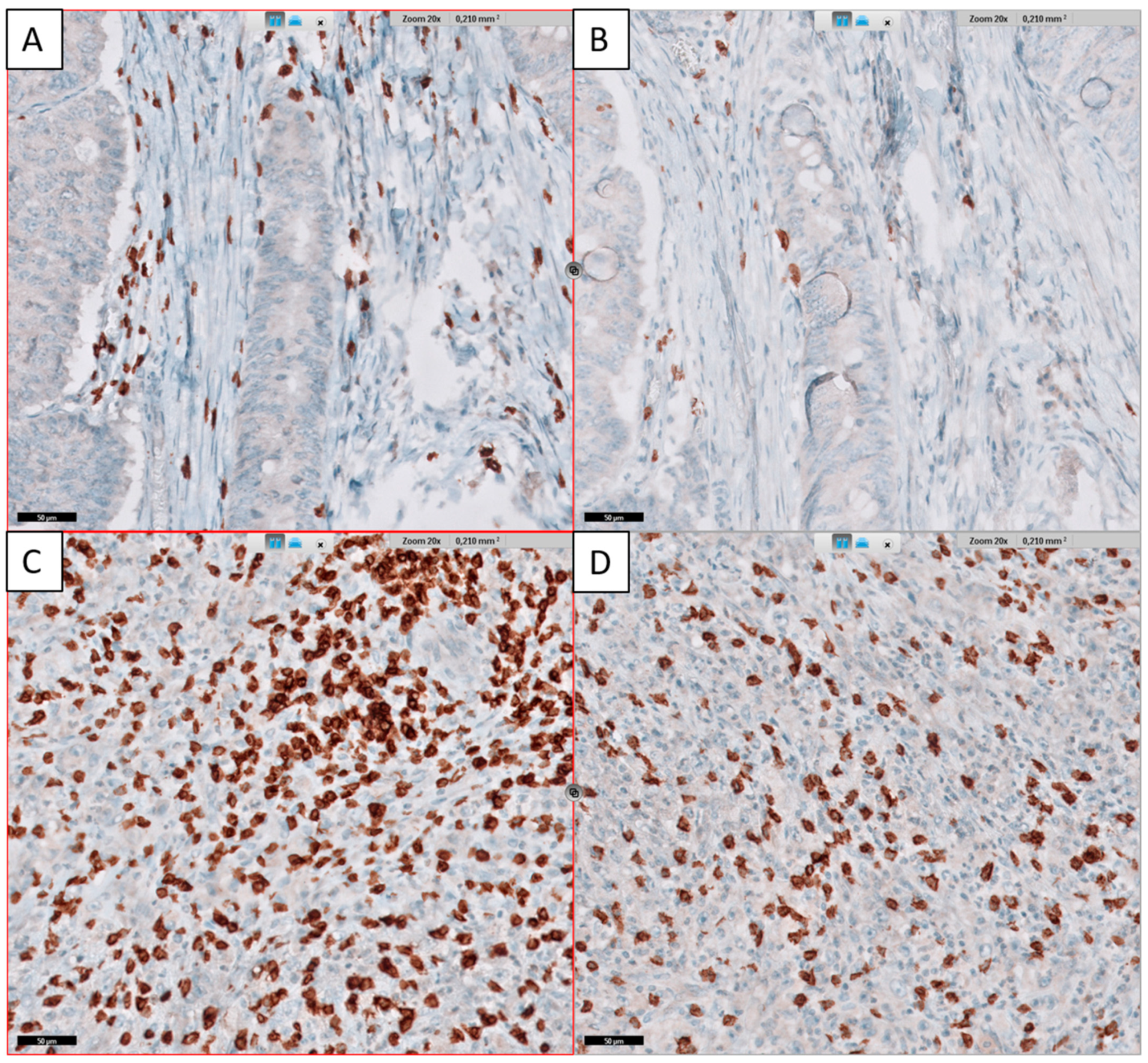 Diagnostics 12 01408 g002