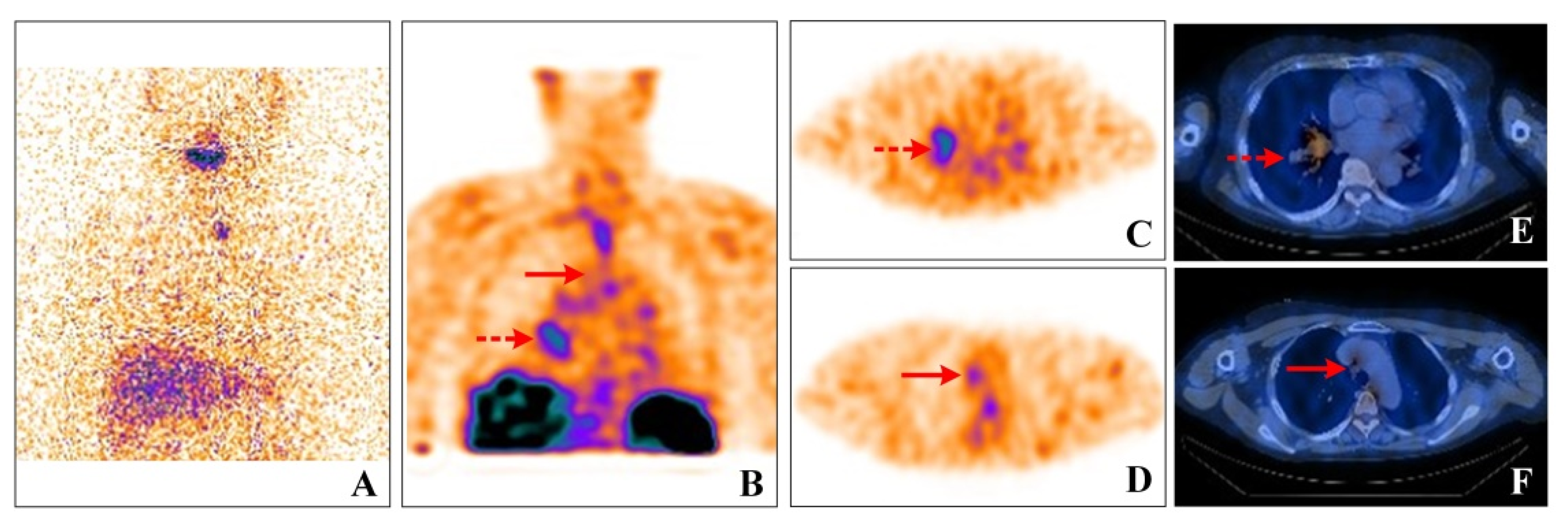Diagnostics 12 01419 g001