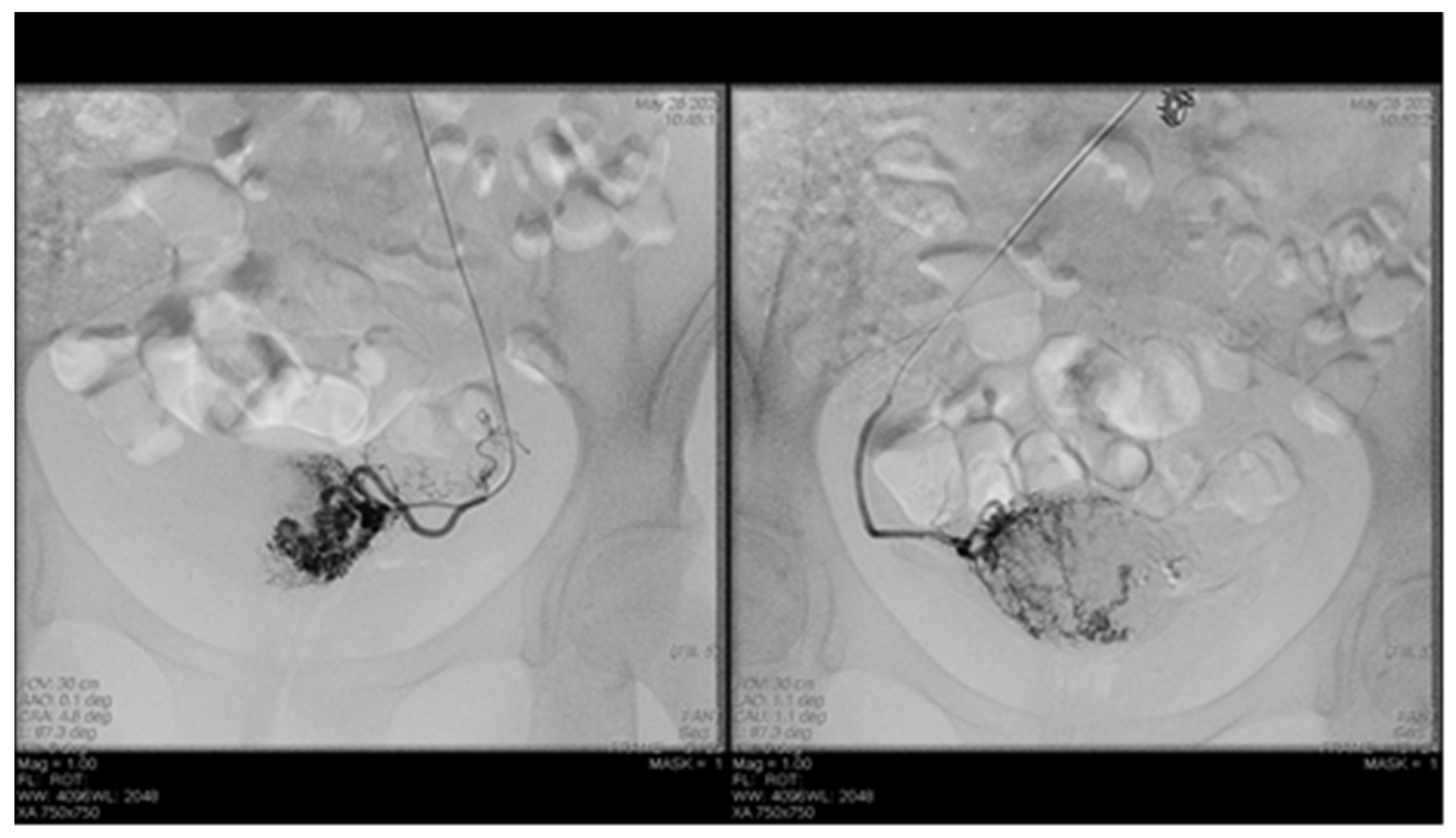 Diagnostics 12 01436 g006