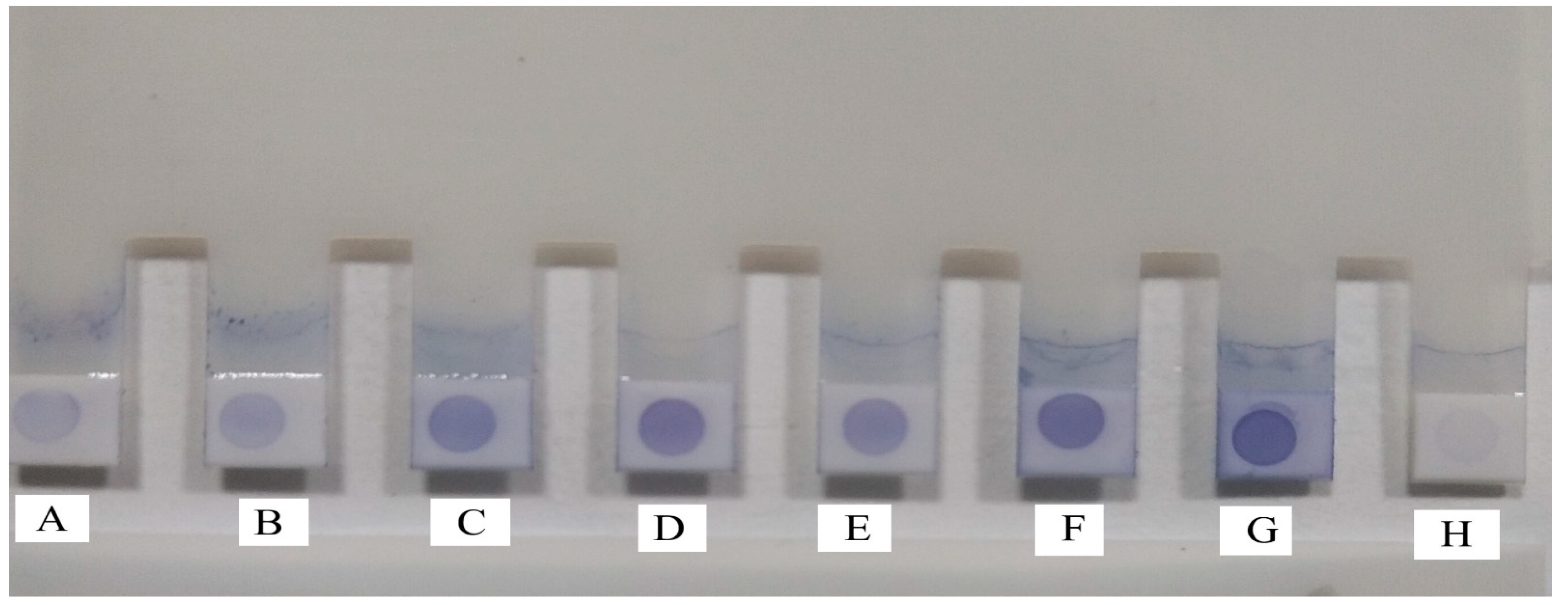 Diagnostics 12 01455 g002 Diagnostics 12 01455 g002