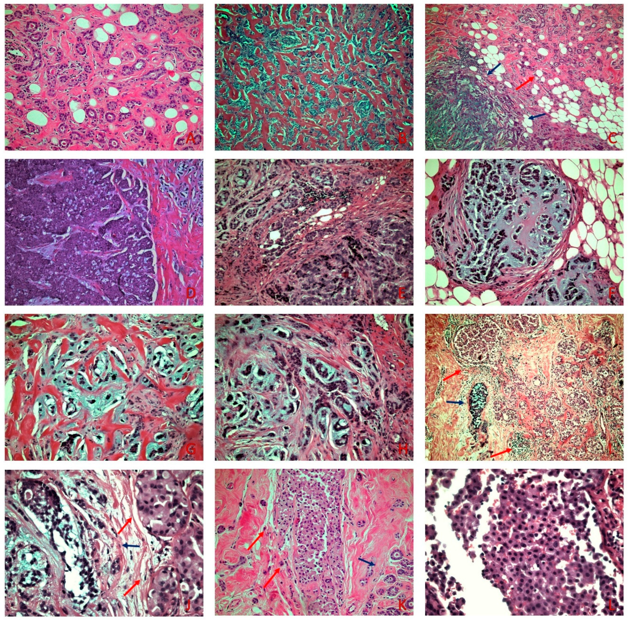 Diagnostics 12 01458 g001