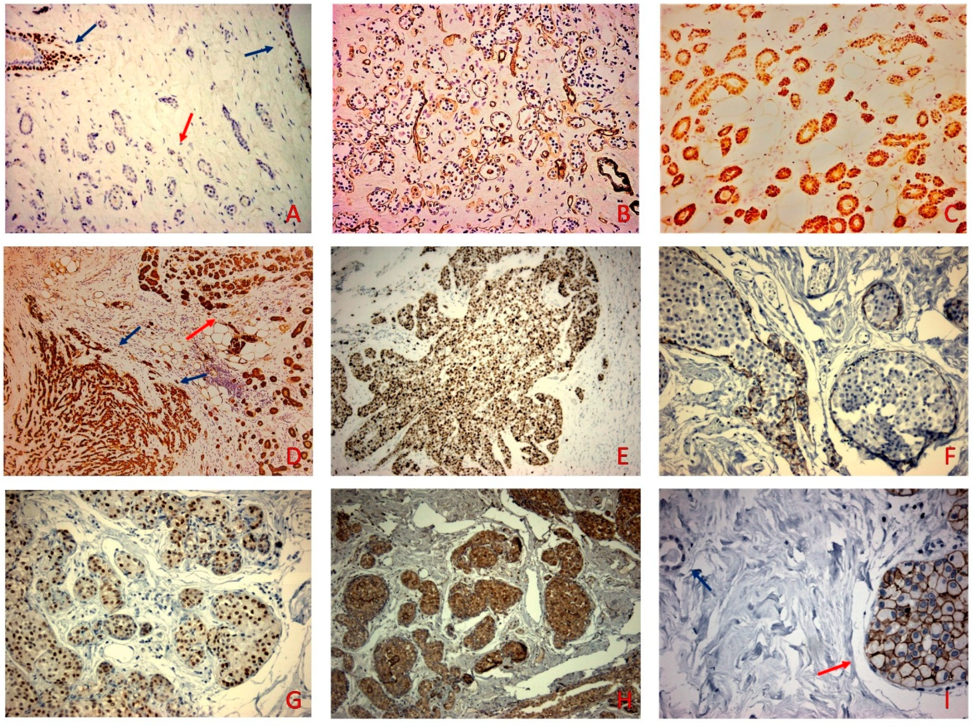 Diagnostics 12 01458 g002