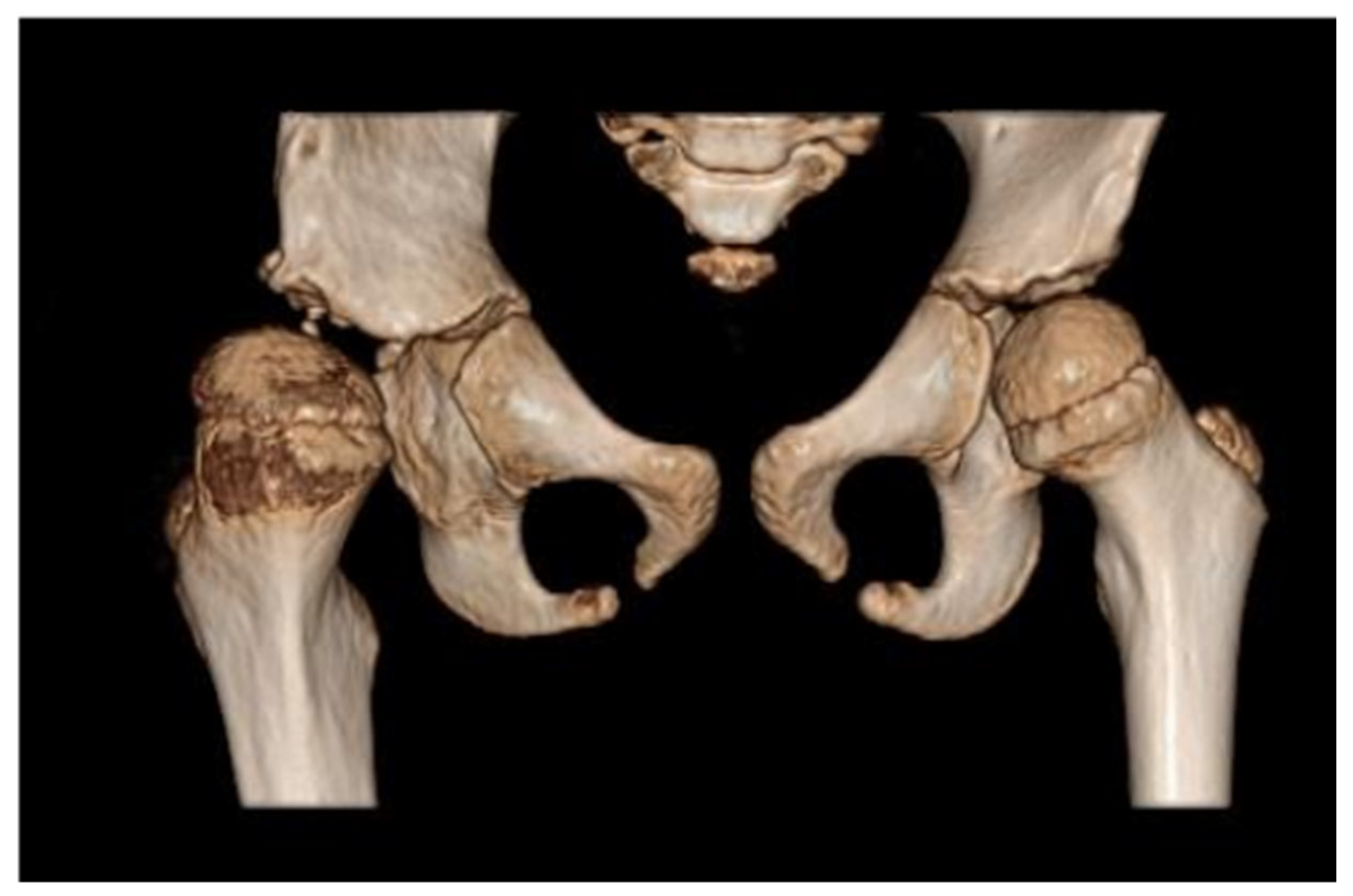 Diagnostics 12 01472 g004