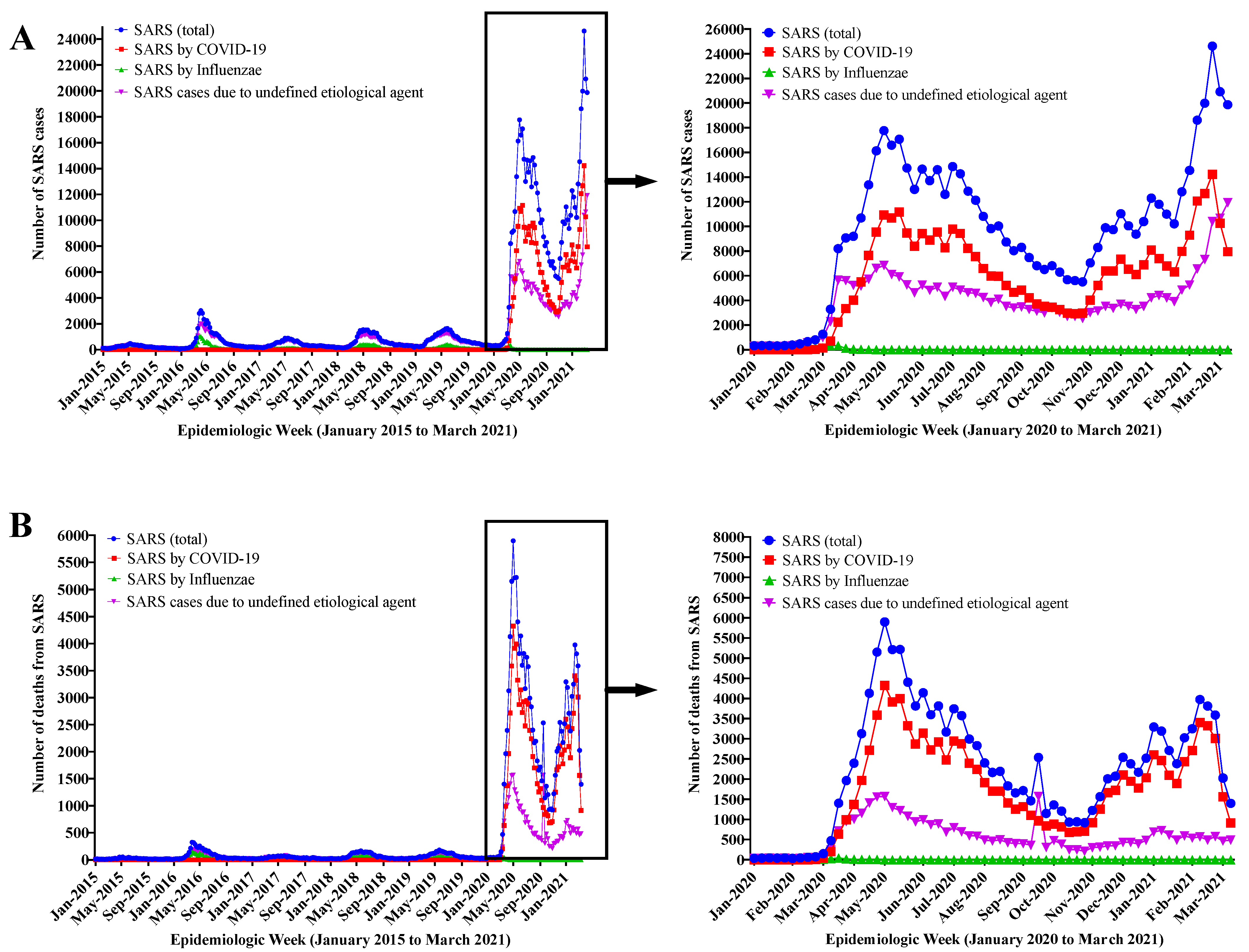 Diagnostics 12 01505 g003