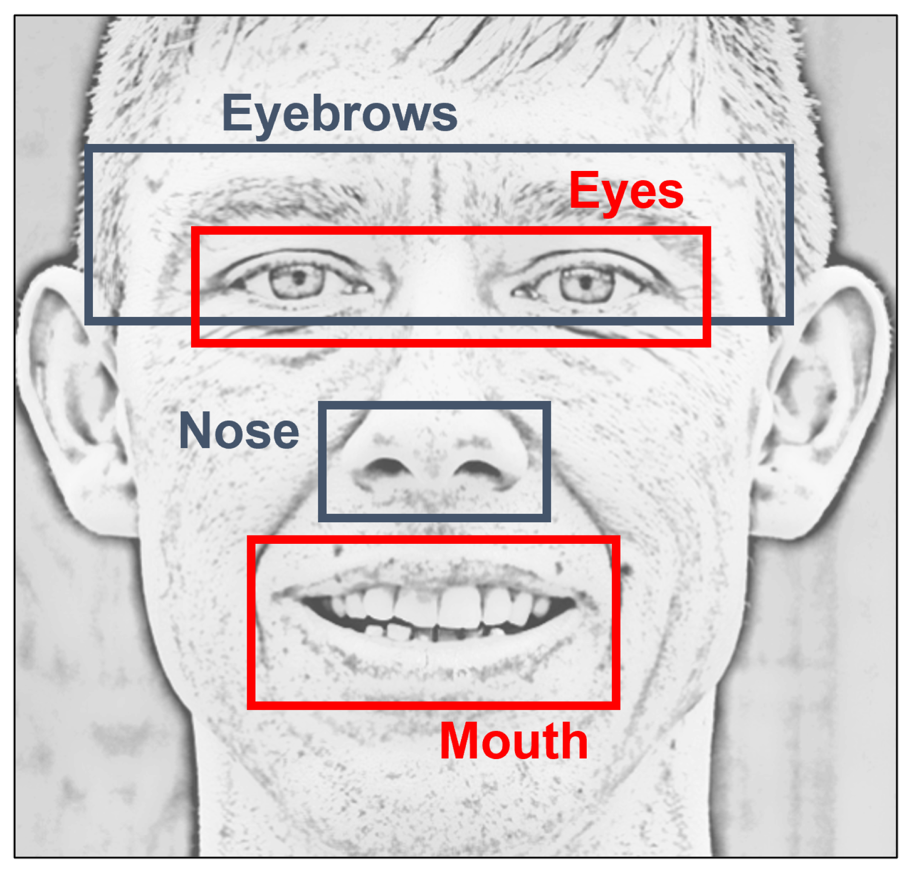 Diagnostics 12 01528 g003