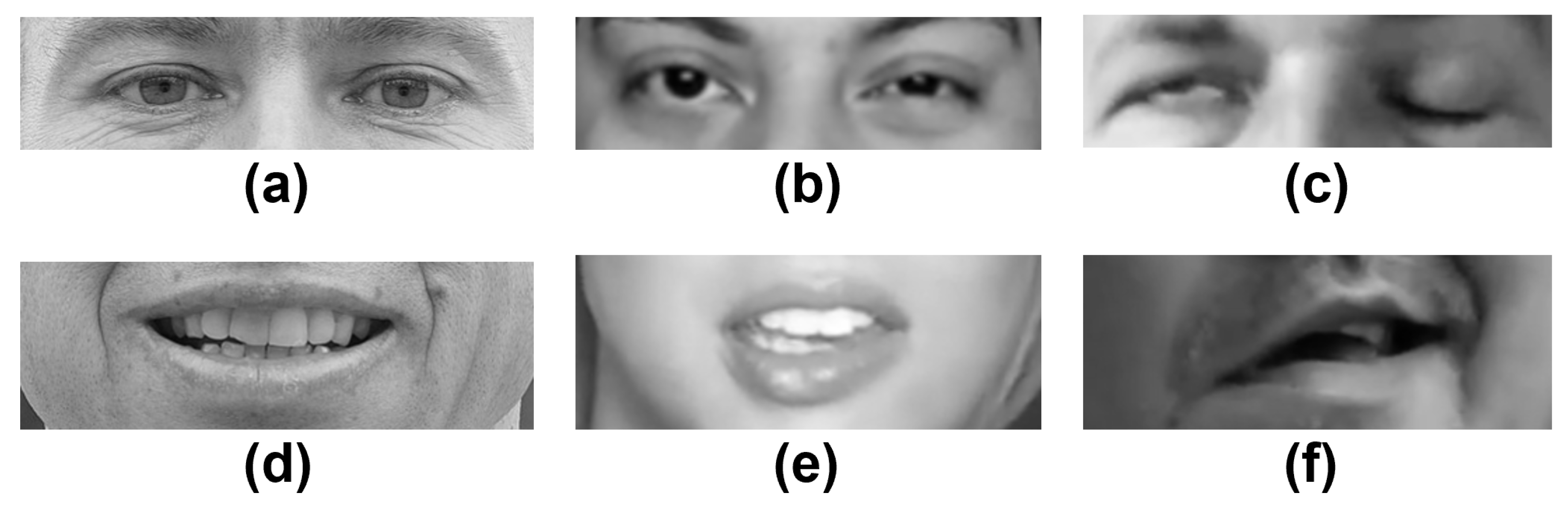 Diagnostics 12 01528 g005