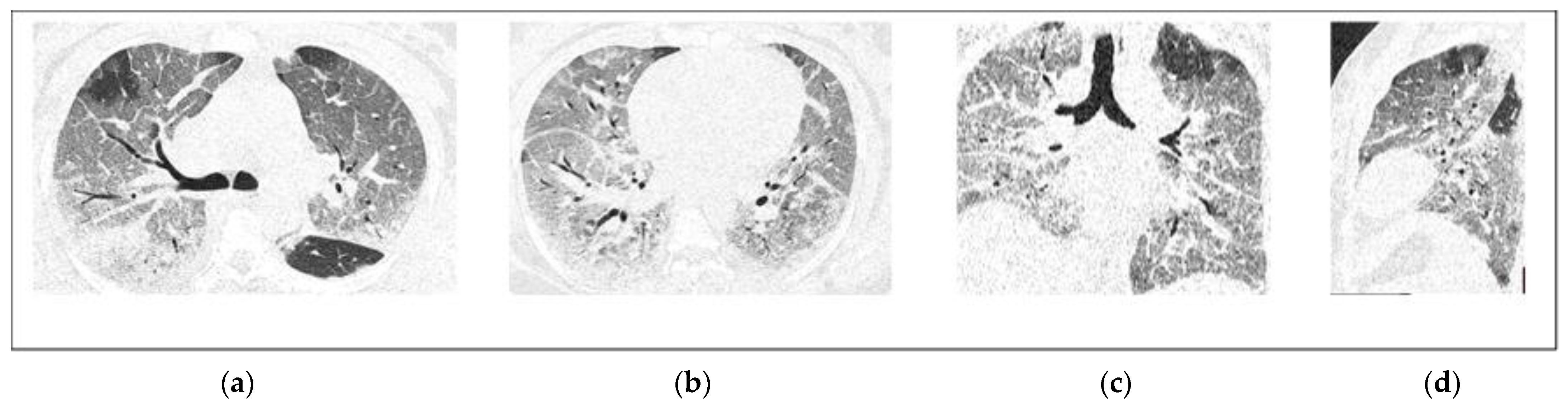 Diagnostics 12 01529 g003