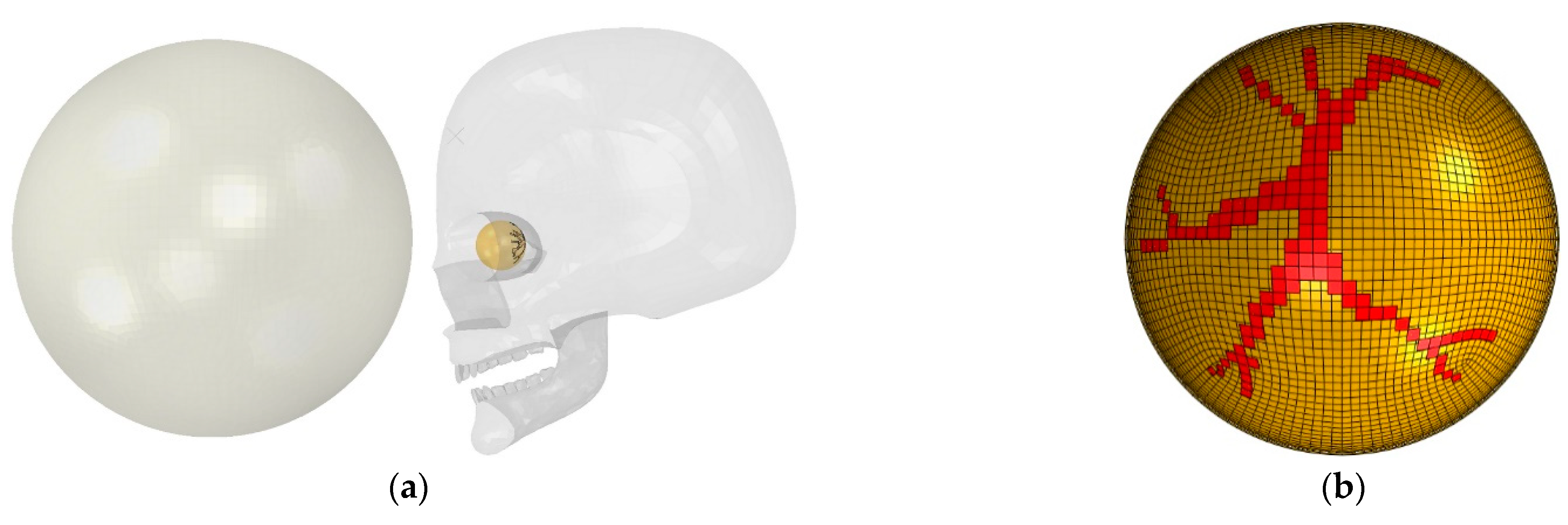 Diagnostics 12 01530 g002 Diagnostics 12 01530 g002