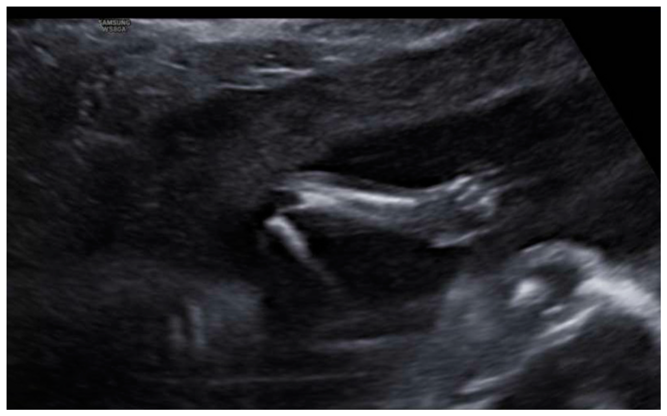 Diagnostics 12 01535 g009