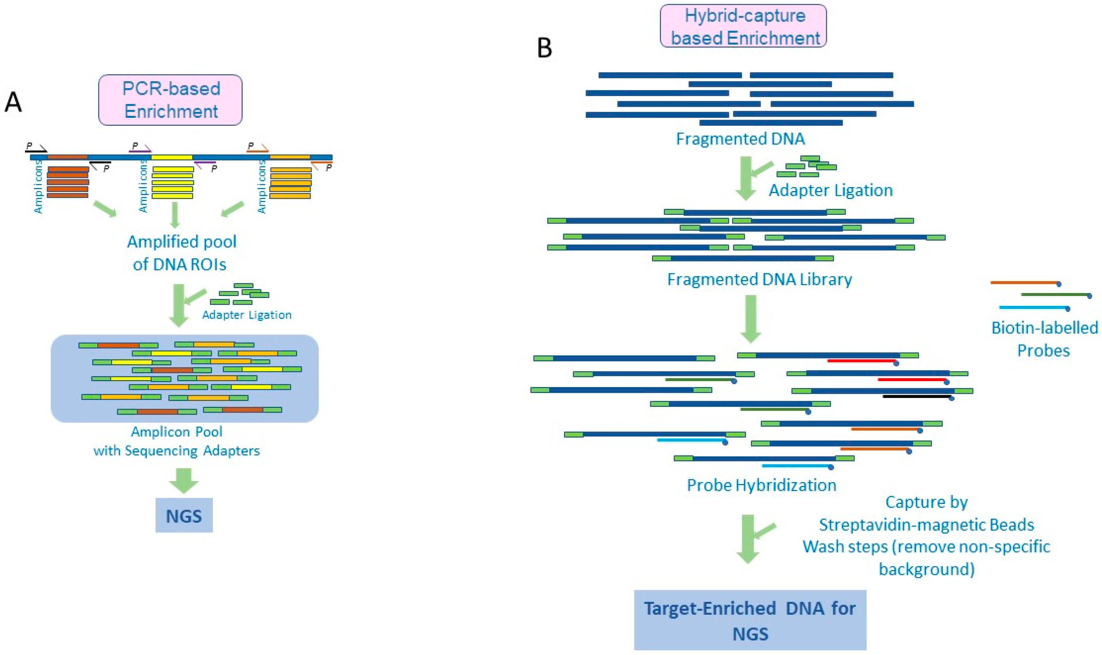 Diagnostics 12 01539 g001
