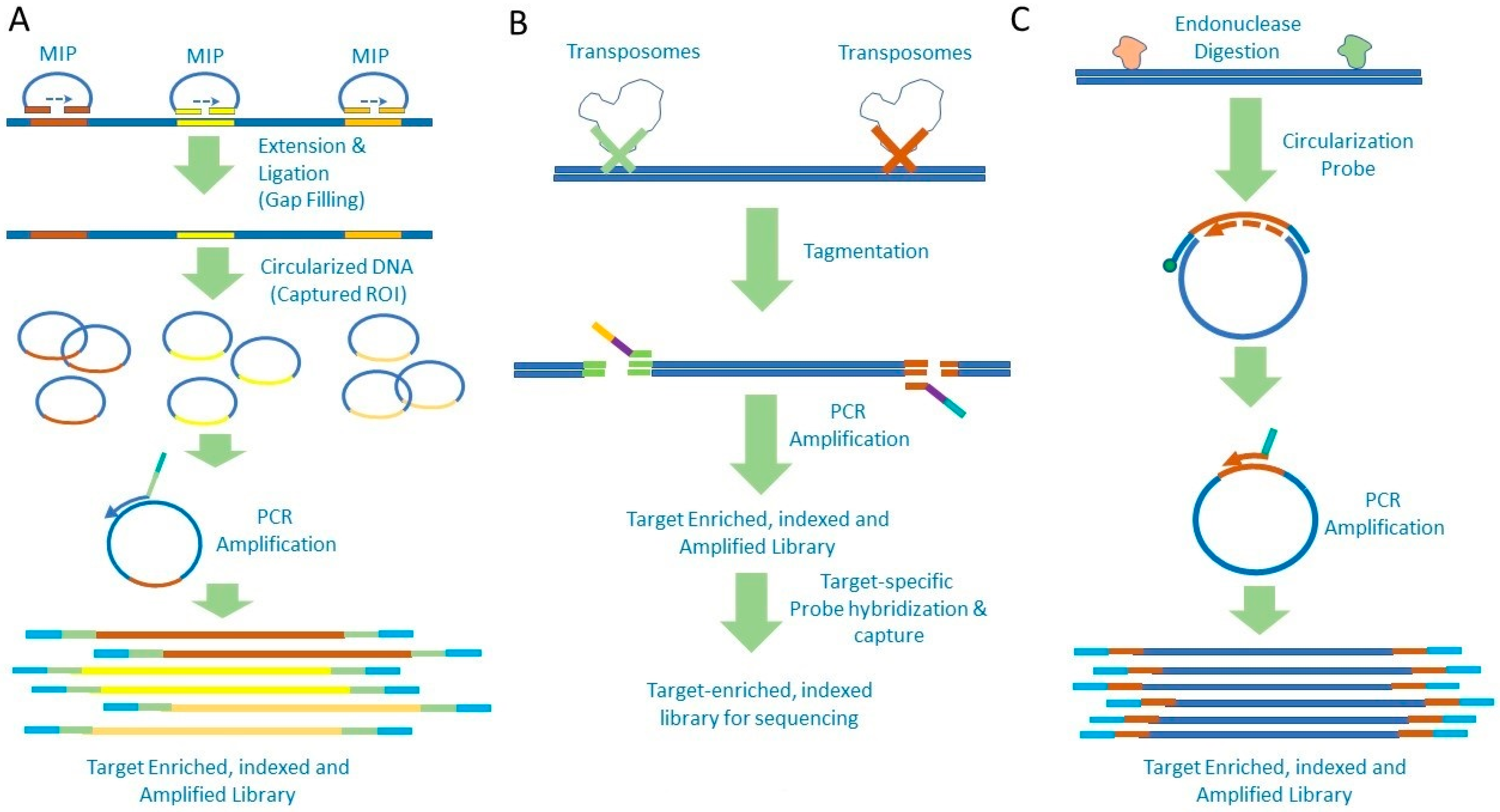 Diagnostics 12 01539 g002