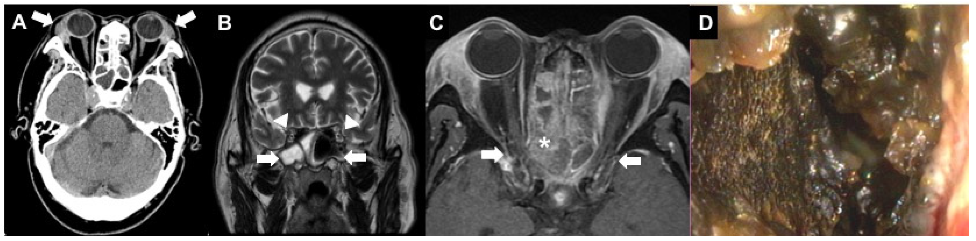 Diagnostics 12 01540 g001