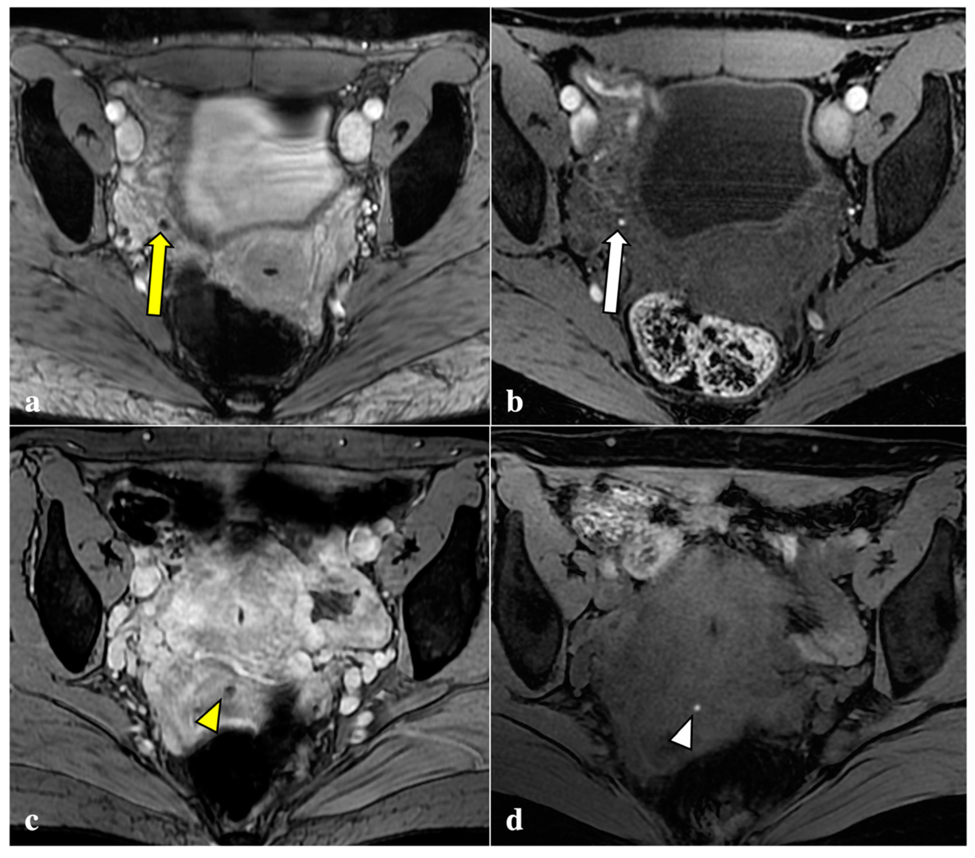 Diagnostics 12 01545 g001
