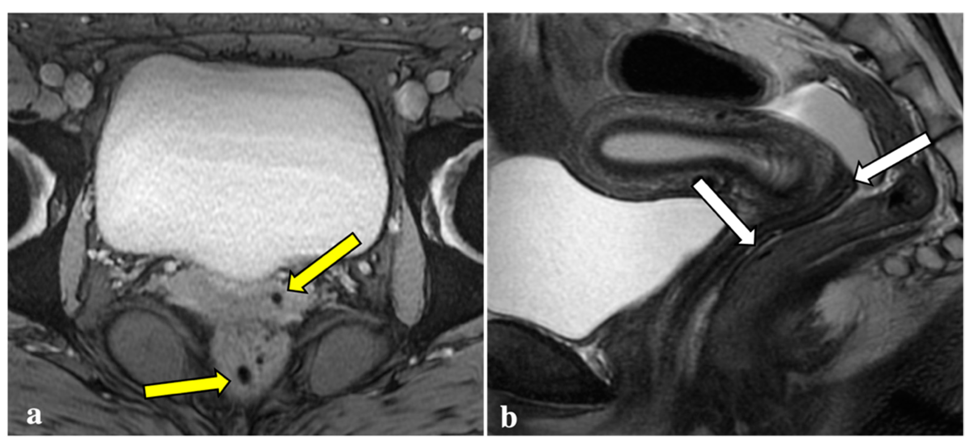 Diagnostics 12 01545 g002