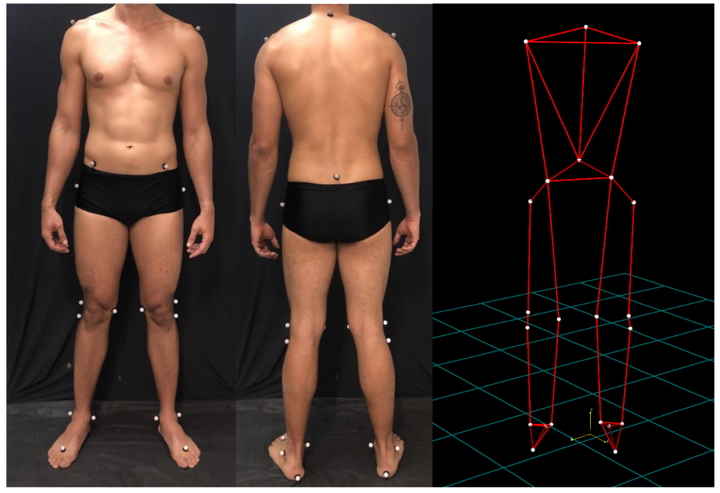 Diagnostics 12 01550 g002