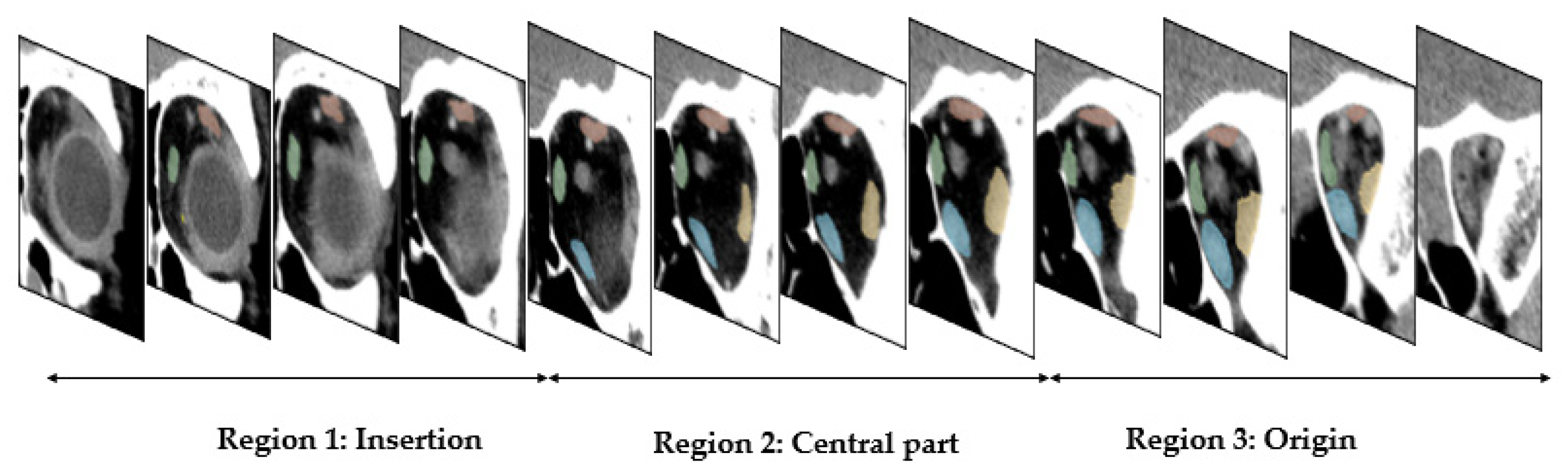 Diagnostics 12 01553 g006