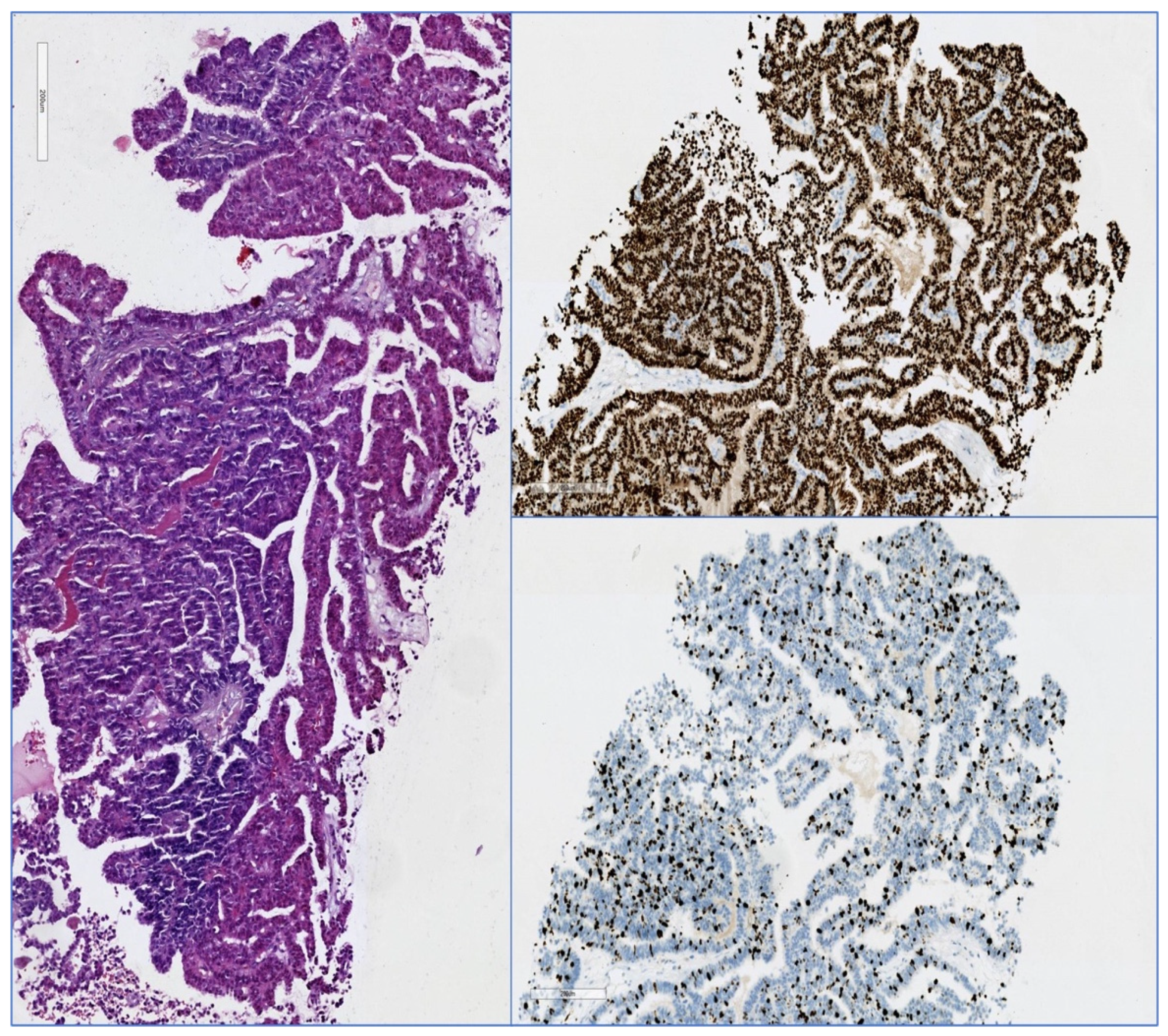 Diagnostics 12 01554 g002