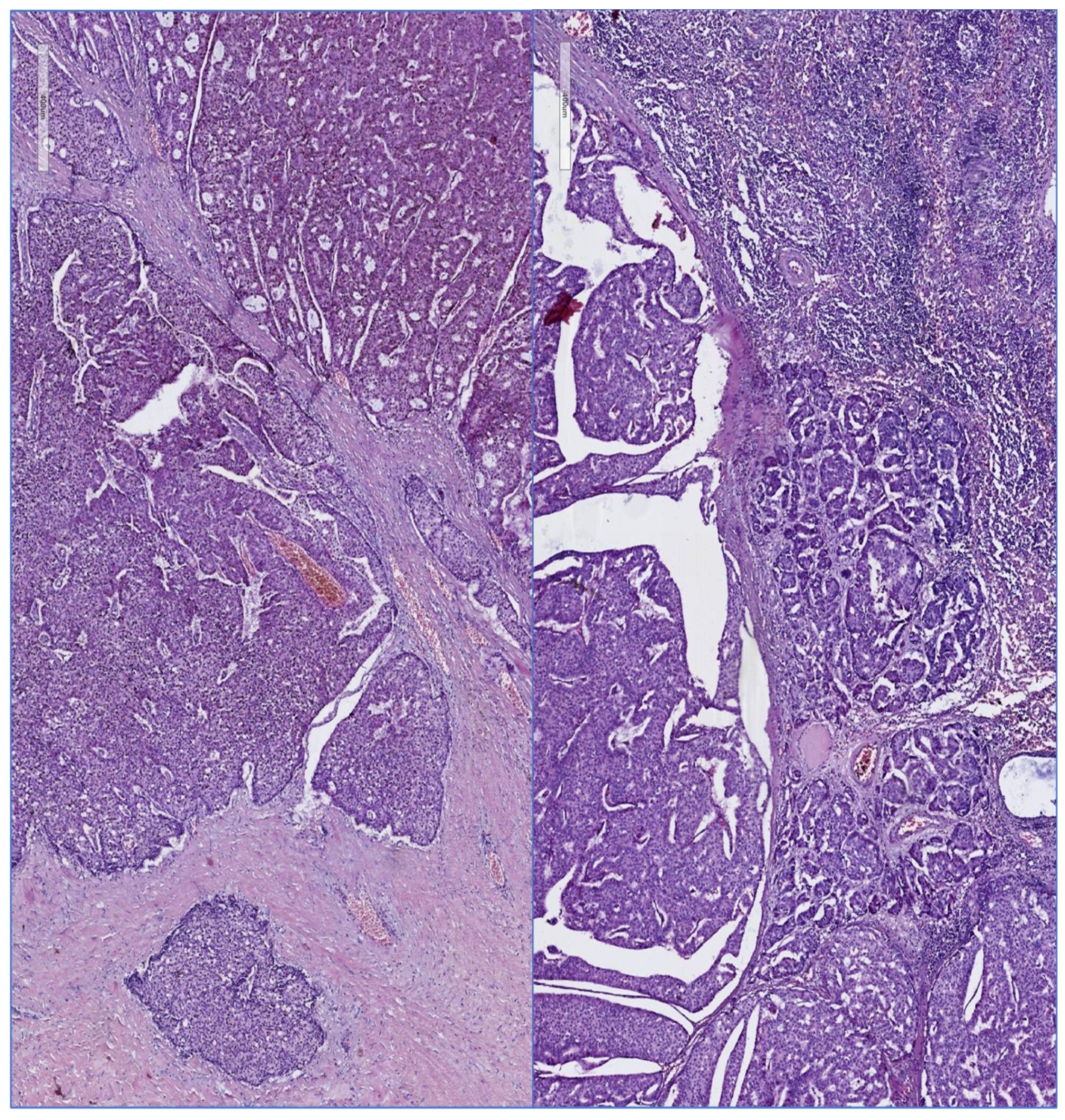 Diagnostics 12 01554 g003