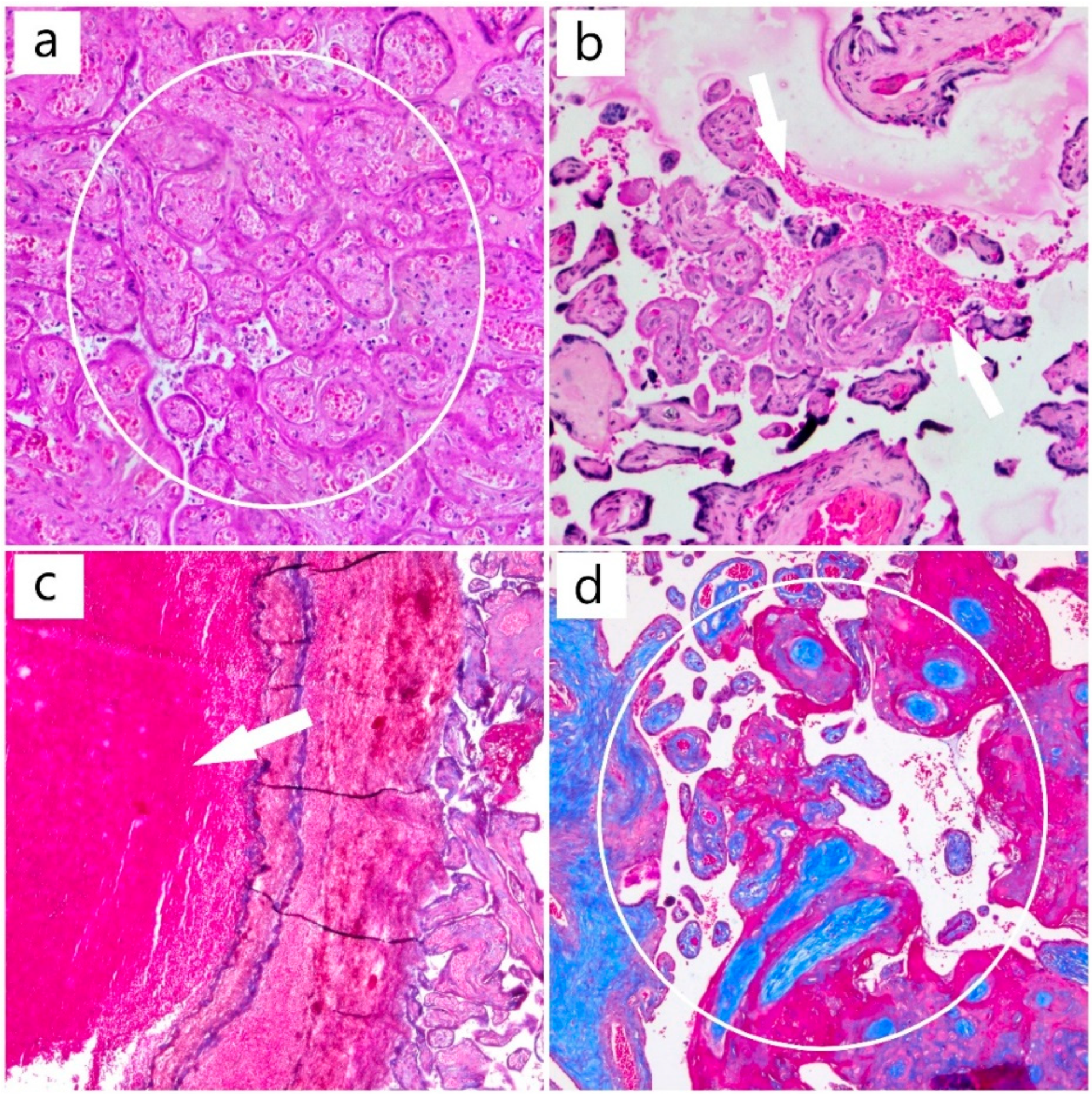 Diagnostics 12 01559 g003