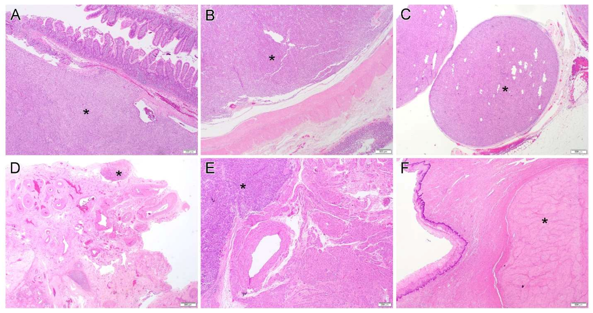 Diagnostics 12 01563 g001 Diagnostics 12 01563 g001