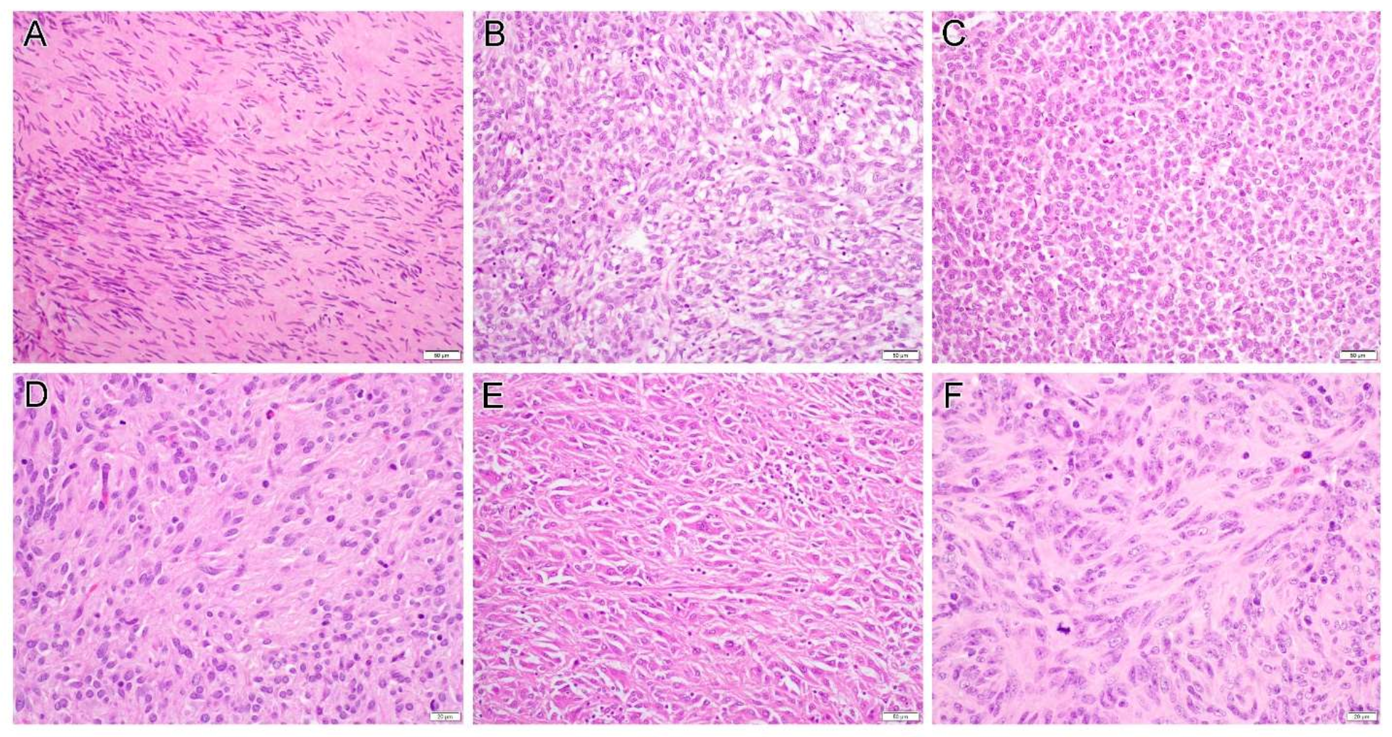 Diagnostics 12 01563 g002 Diagnostics 12 01563 g002