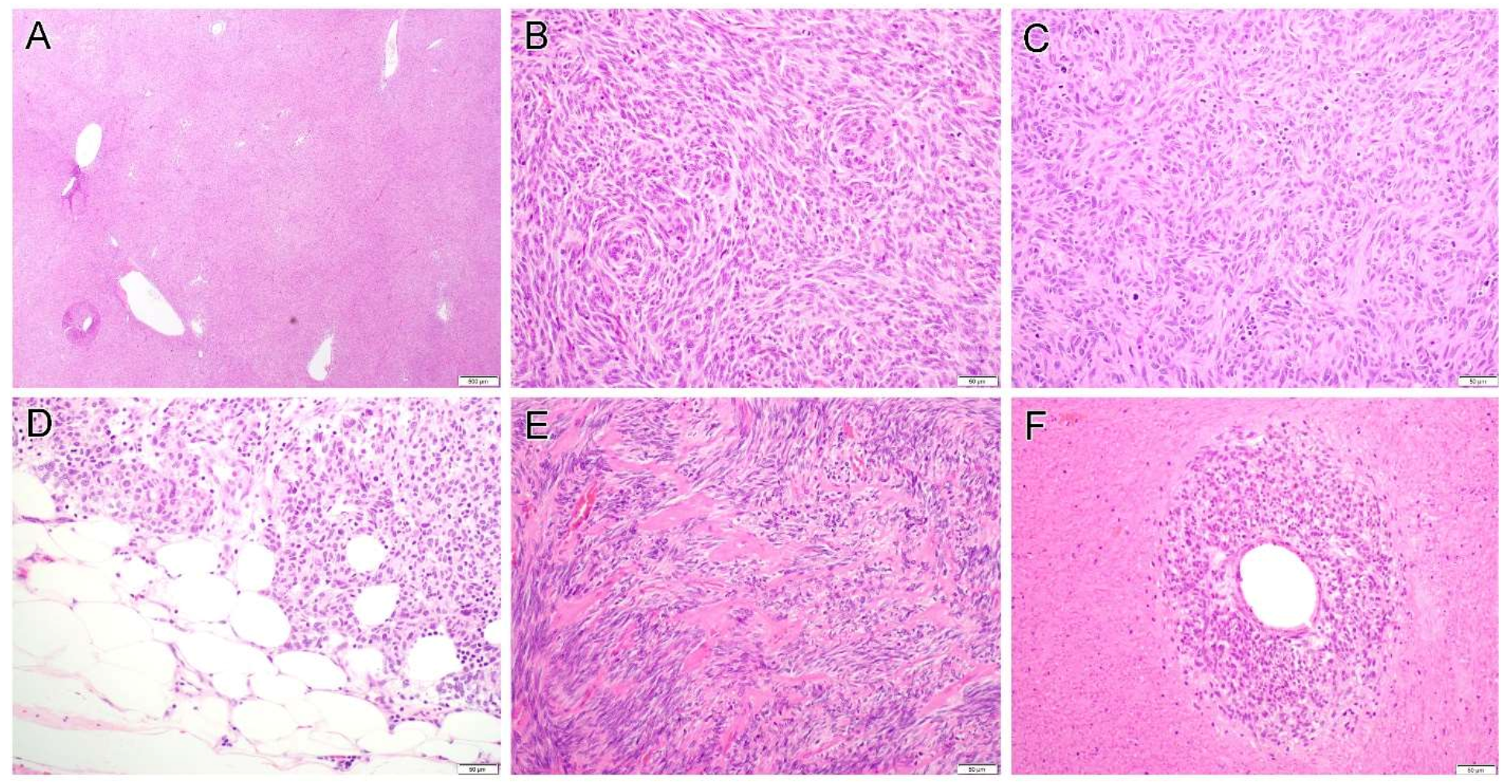 Diagnostics 12 01563 g003 Diagnostics 12 01563 g003