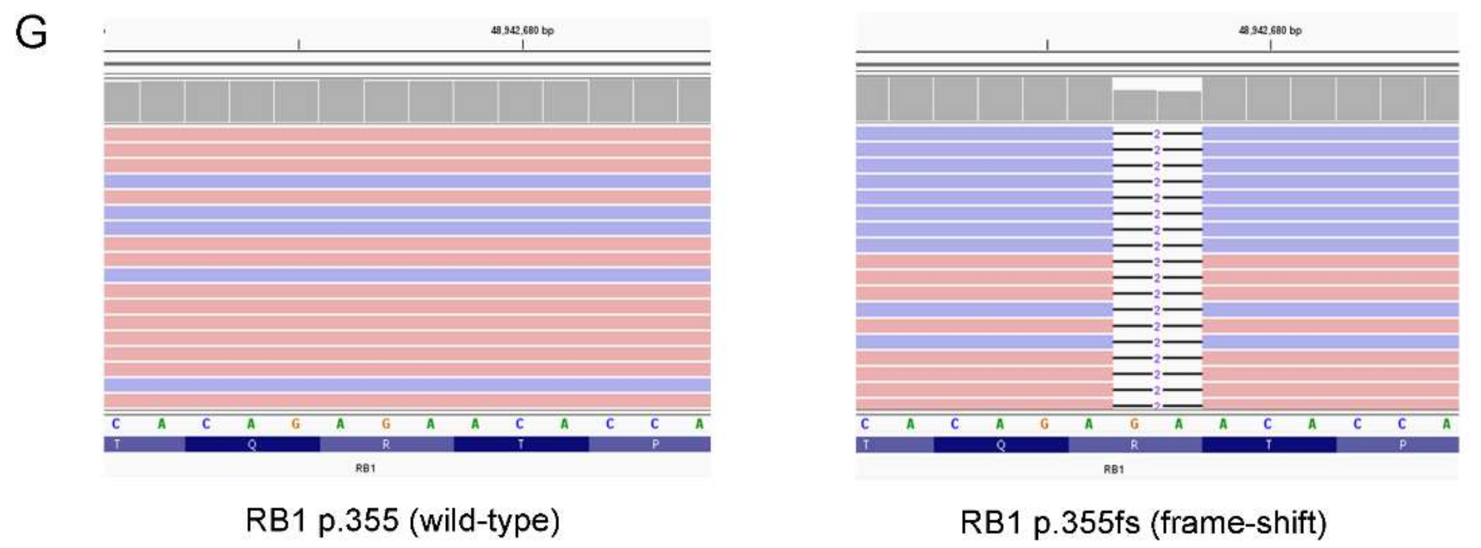 Diagnostics 12 01563 g004b Diagnostics 12 01563 g004b