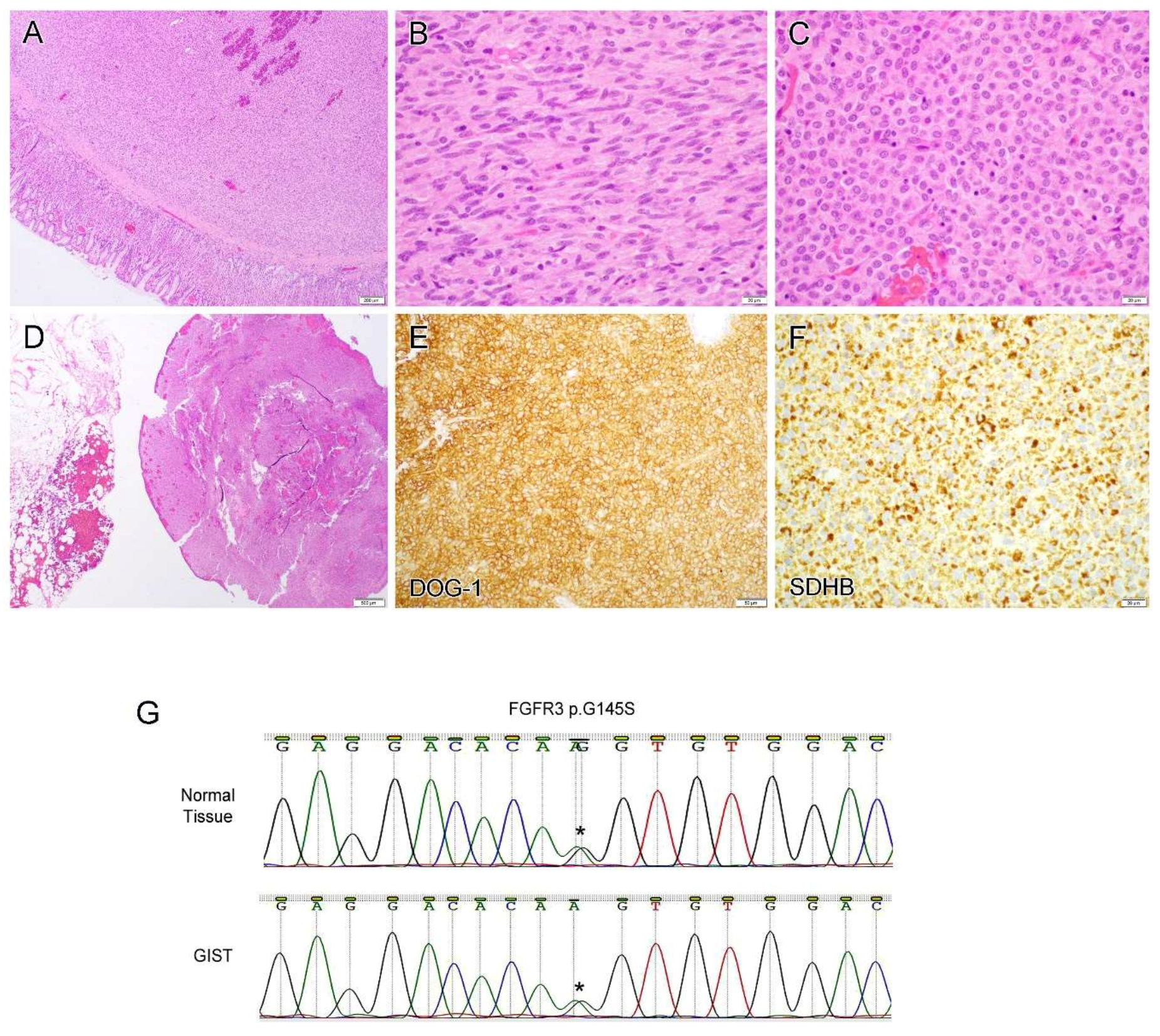 Diagnostics 12 01563 g005 Diagnostics 12 01563 g005