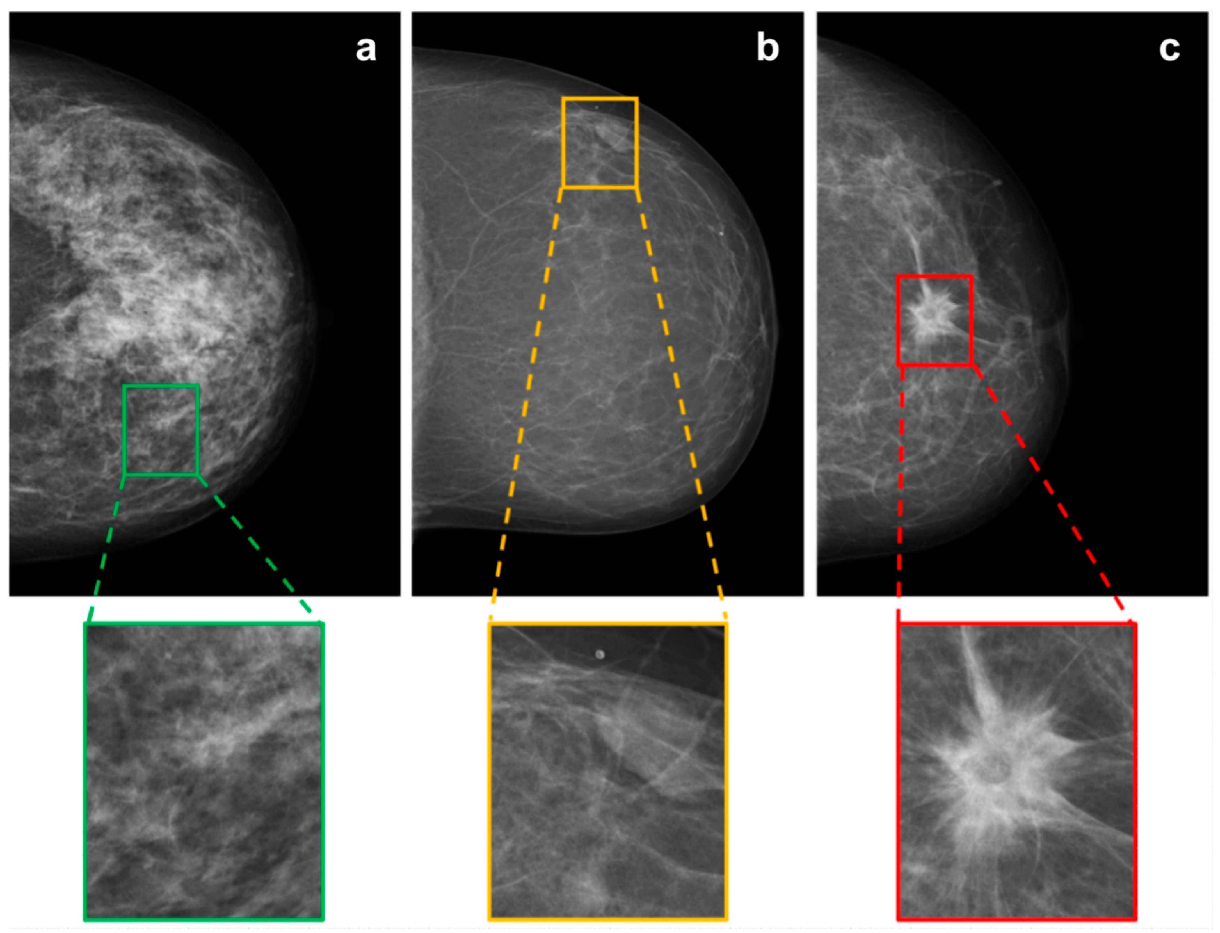 Diagnostics 12 01564 g002