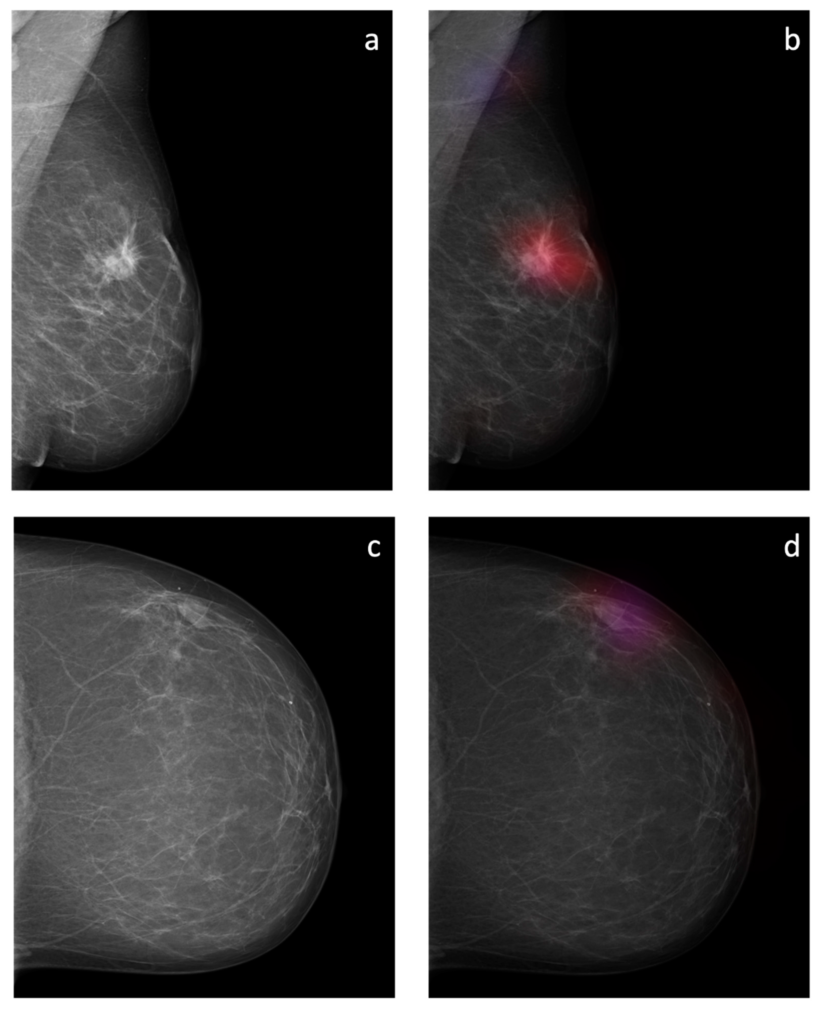 Diagnostics 12 01564 g008