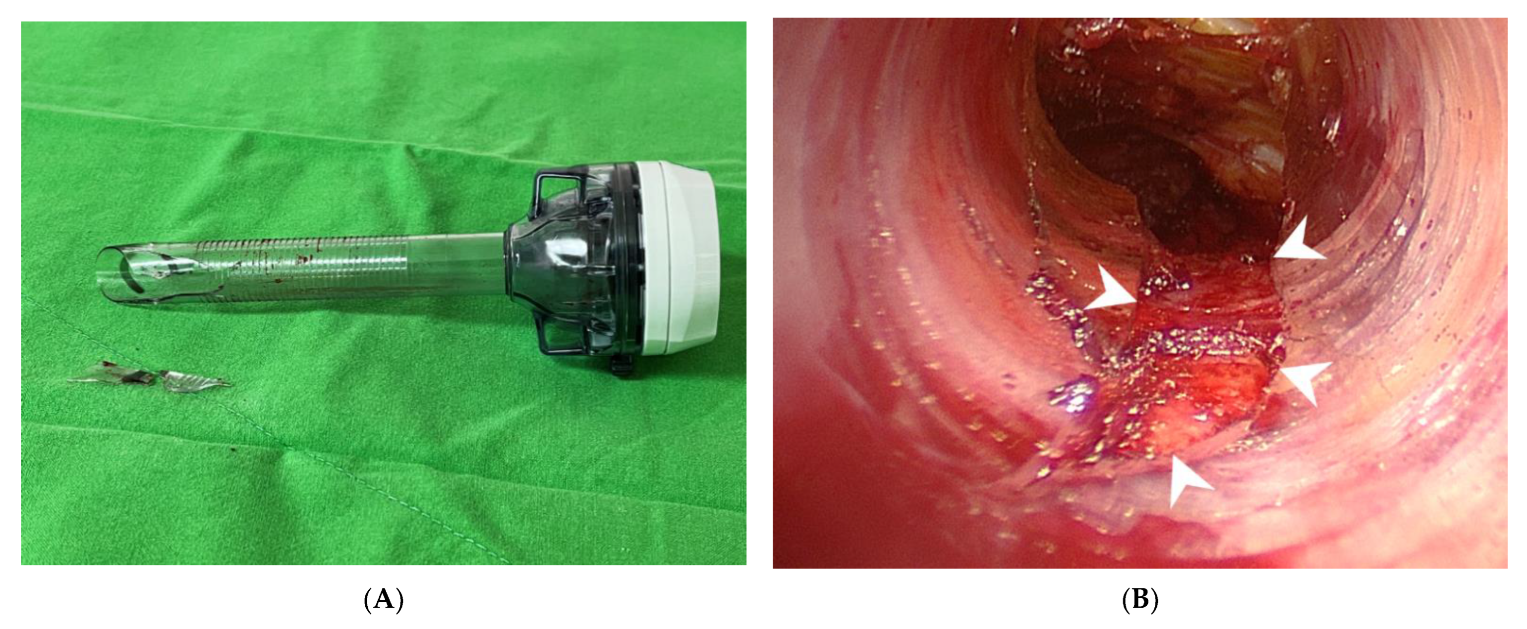 Diagnostics 12 01566 g002