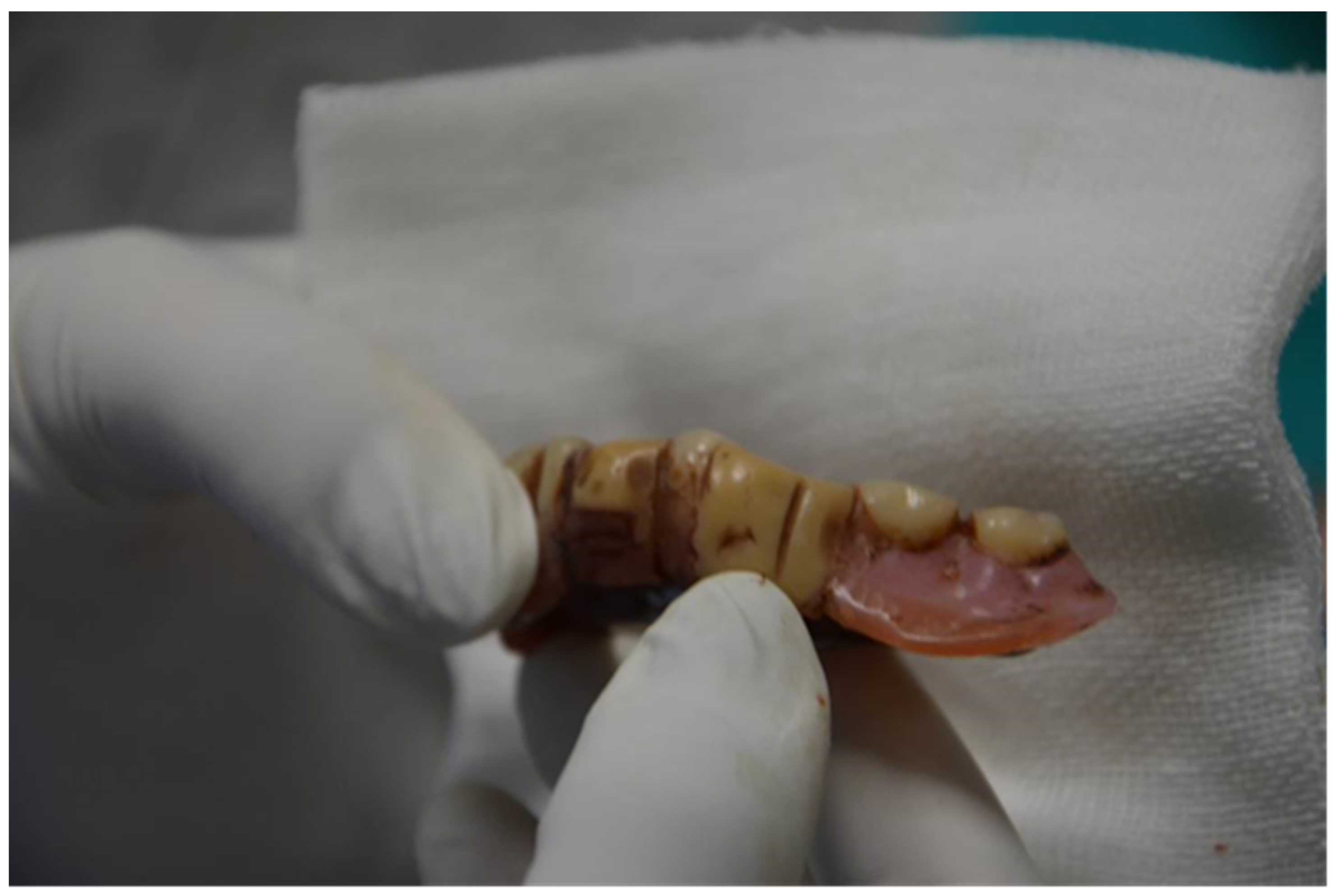 Diagnostics 12 01577 g004