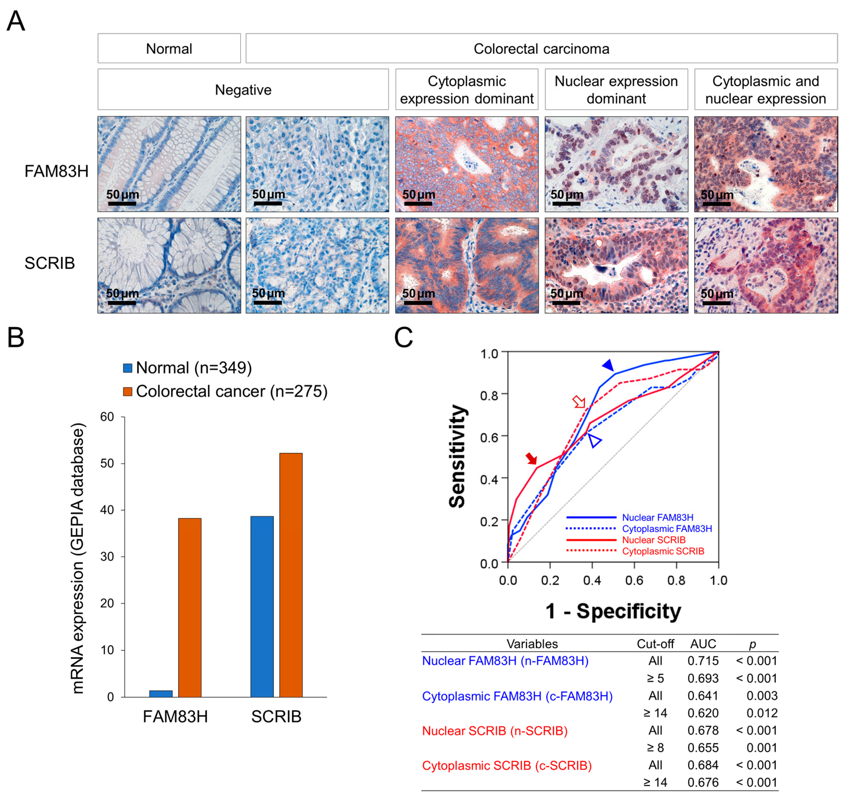 Diagnostics 12 01579 g001
