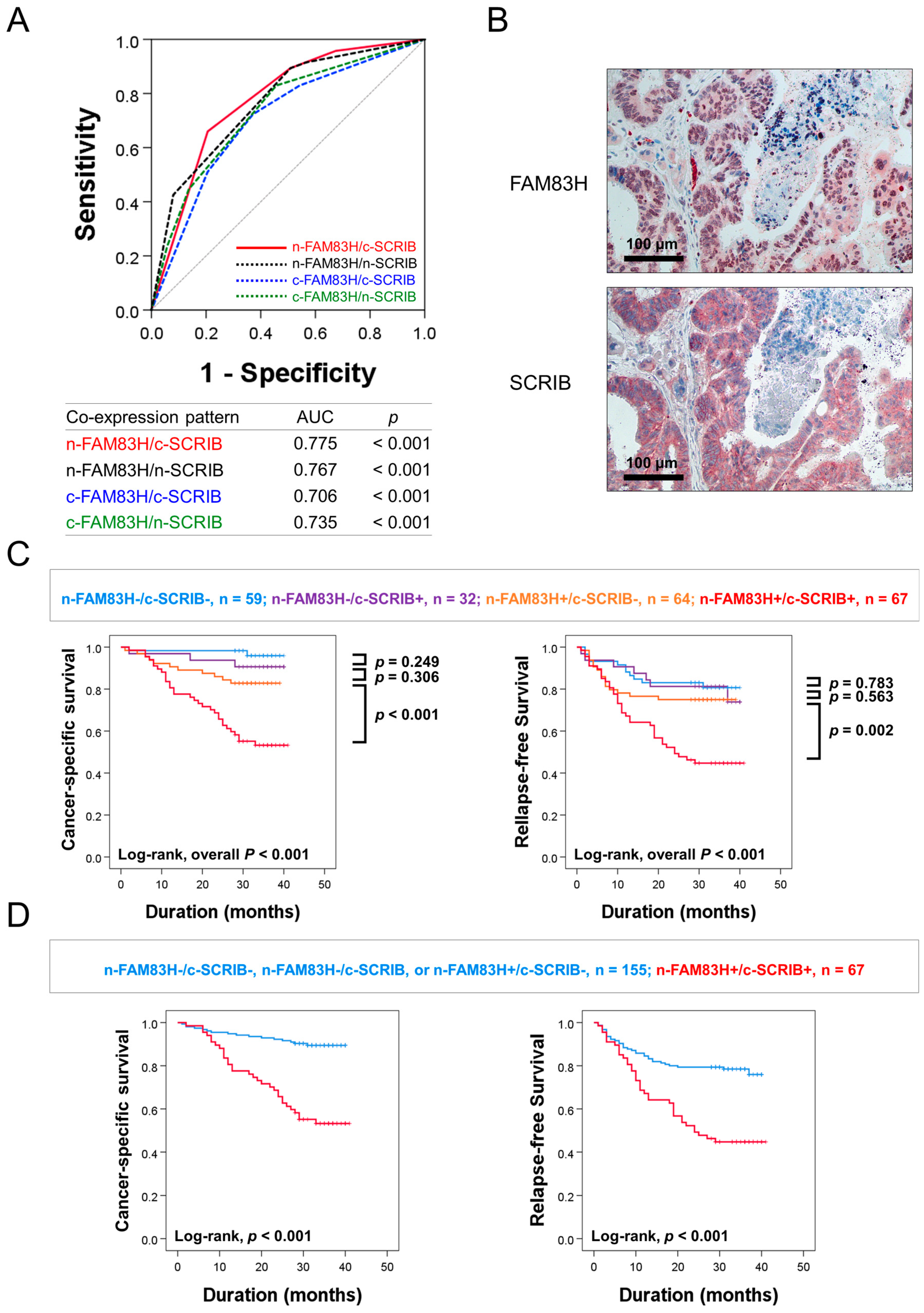 Diagnostics 12 01579 g003