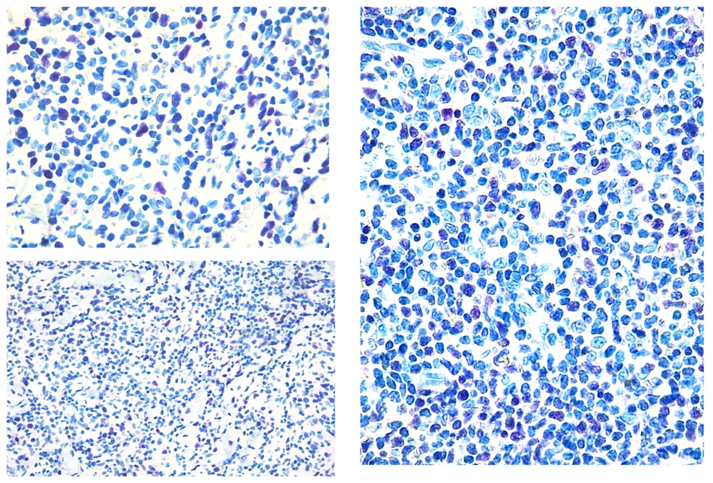 Diagnostics 12 01582 g002