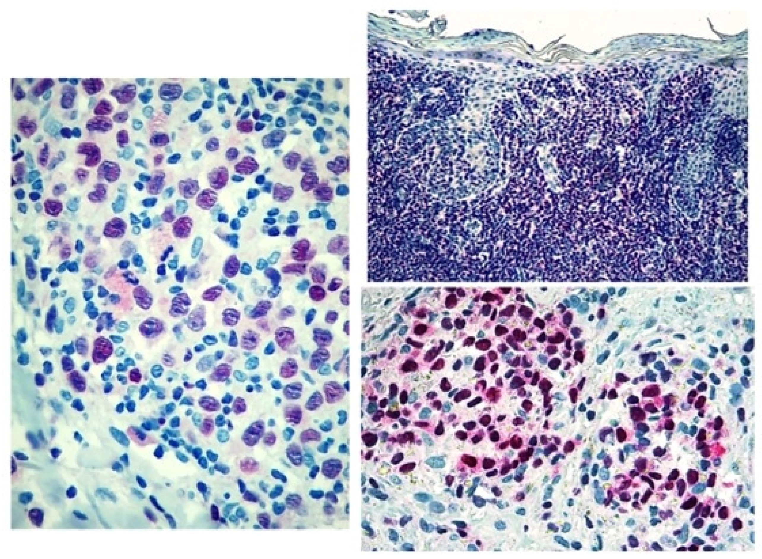 Diagnostics 12 01582 g003