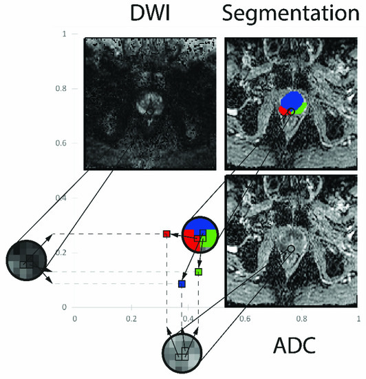 Diagnostics 12 01592 g001 550