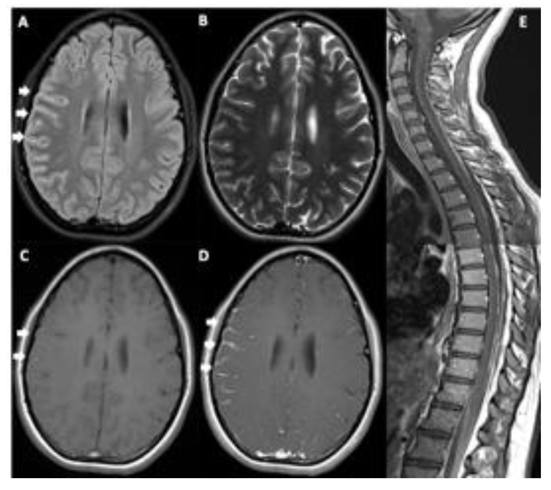 Diagnostics 12 01609 g001