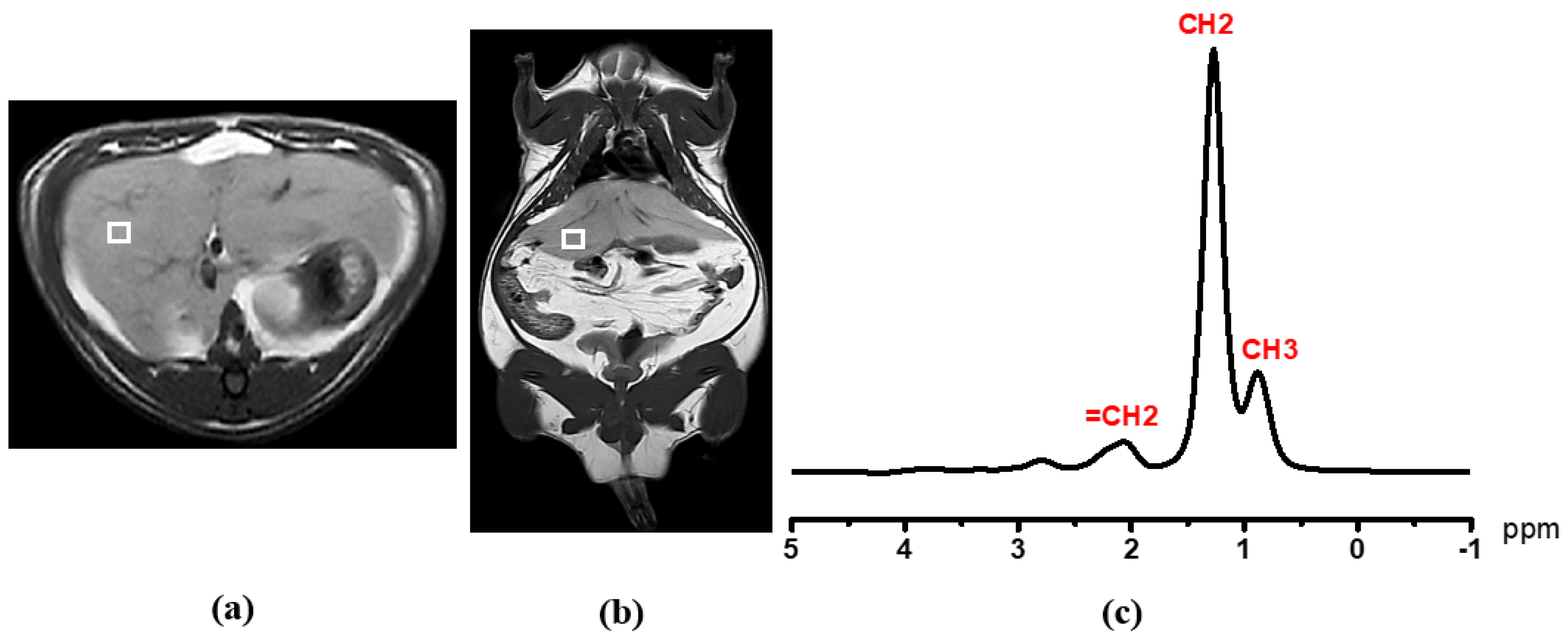 Diagnostics 12 01621 g002