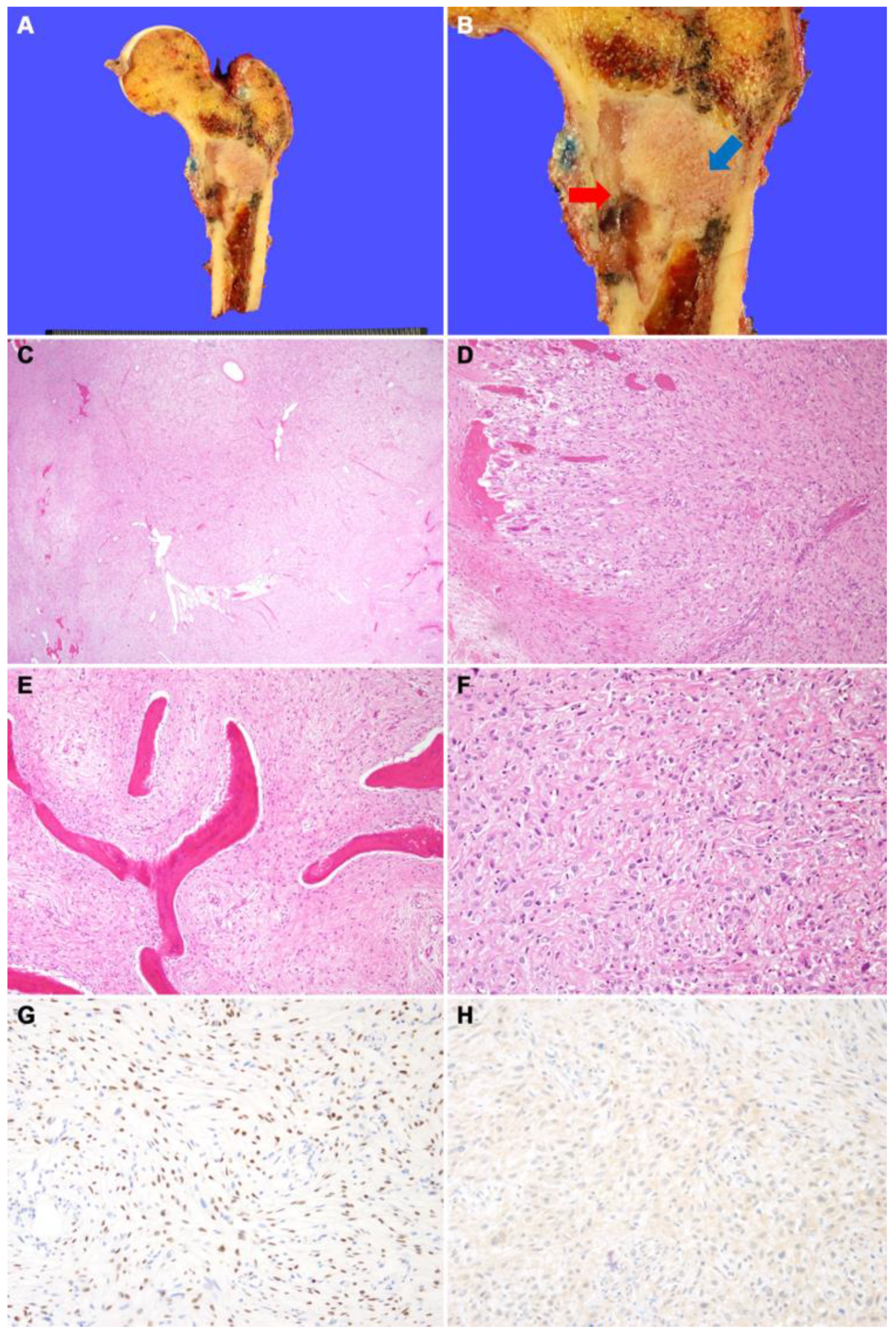 Diagnostics 12 01622 g002