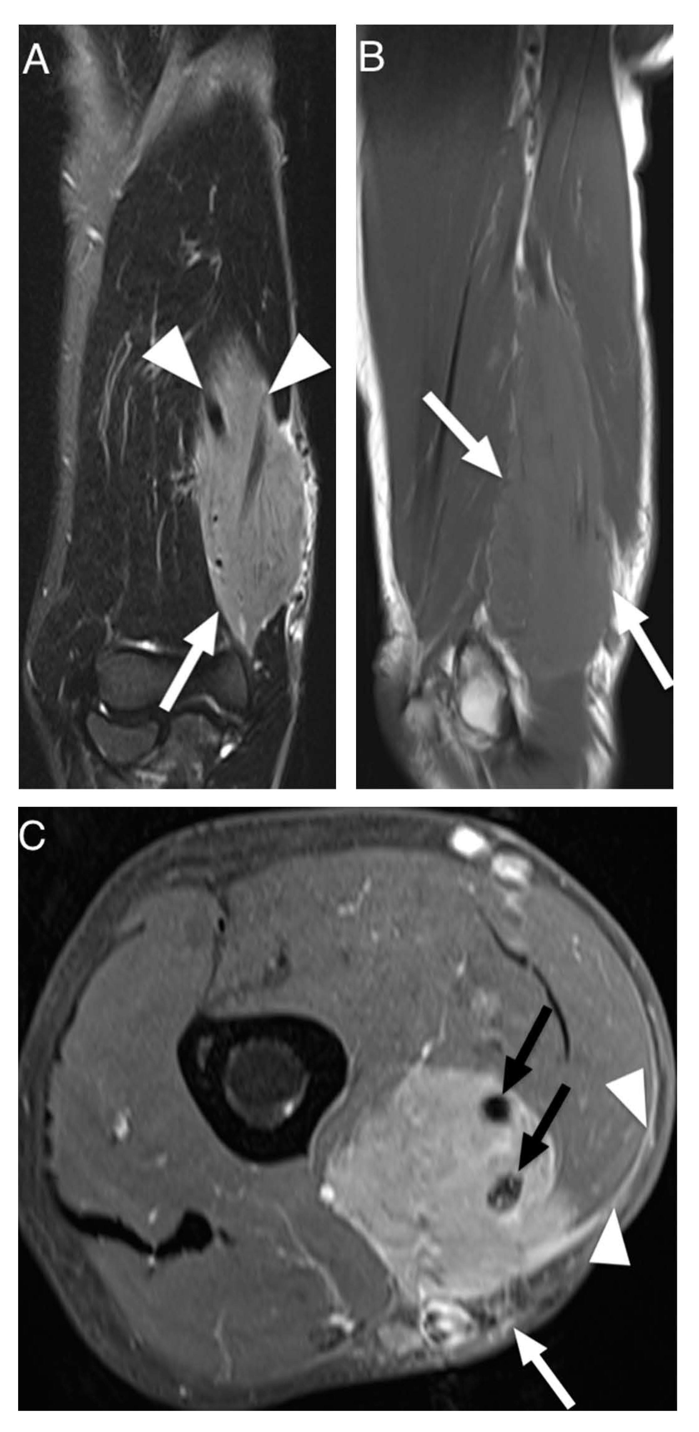 Diagnostics 12 01623 g002