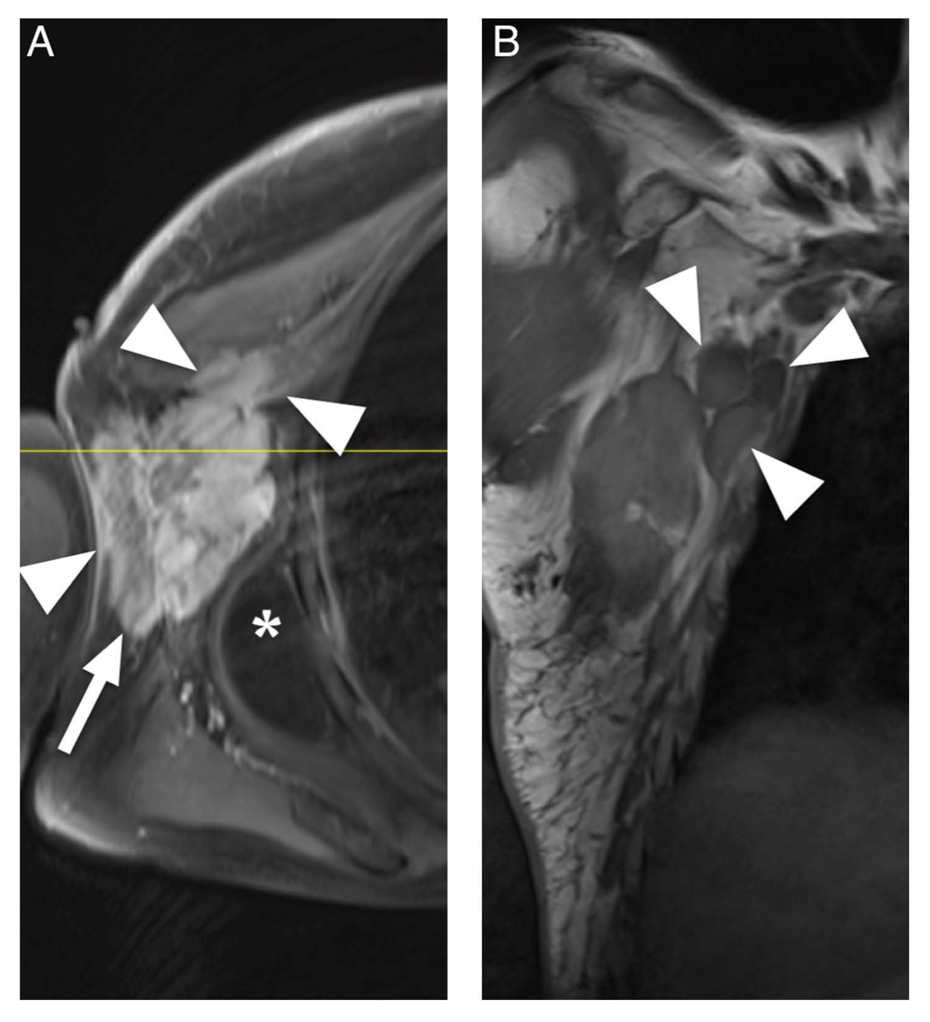 Diagnostics 12 01623 g004