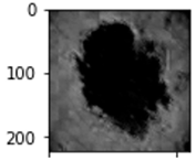 Diagnostics 12 01628 i001